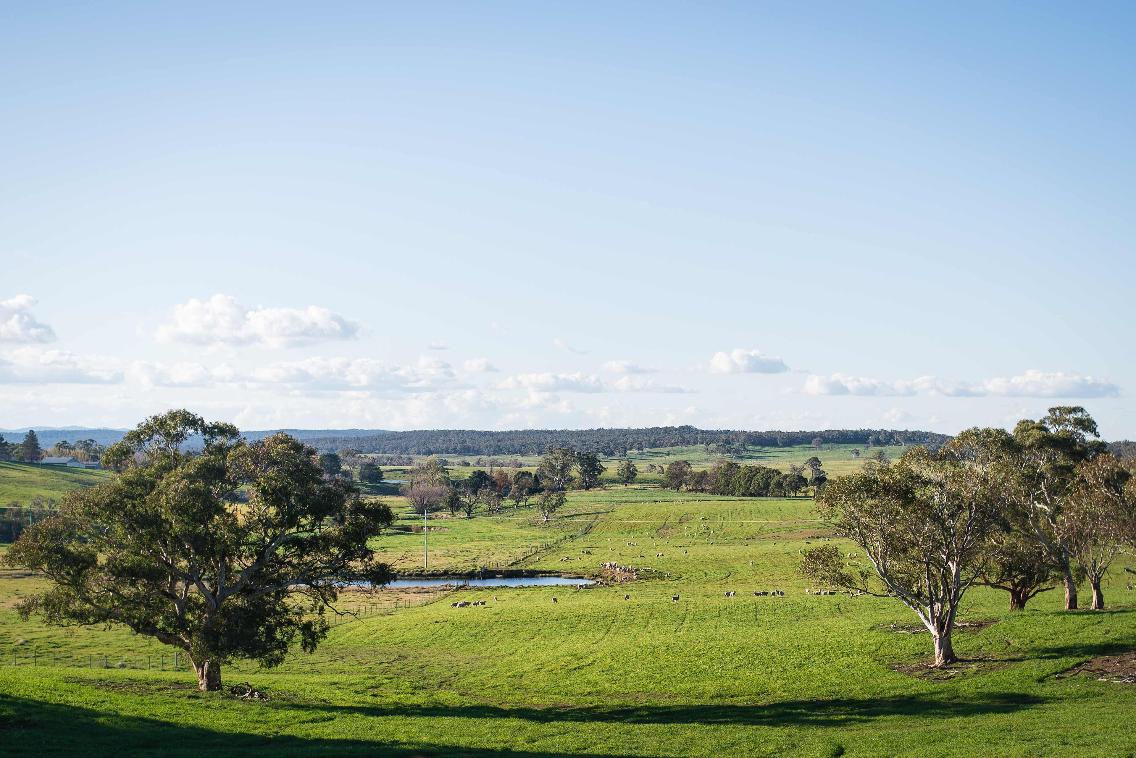 Butmaroo in Spring 