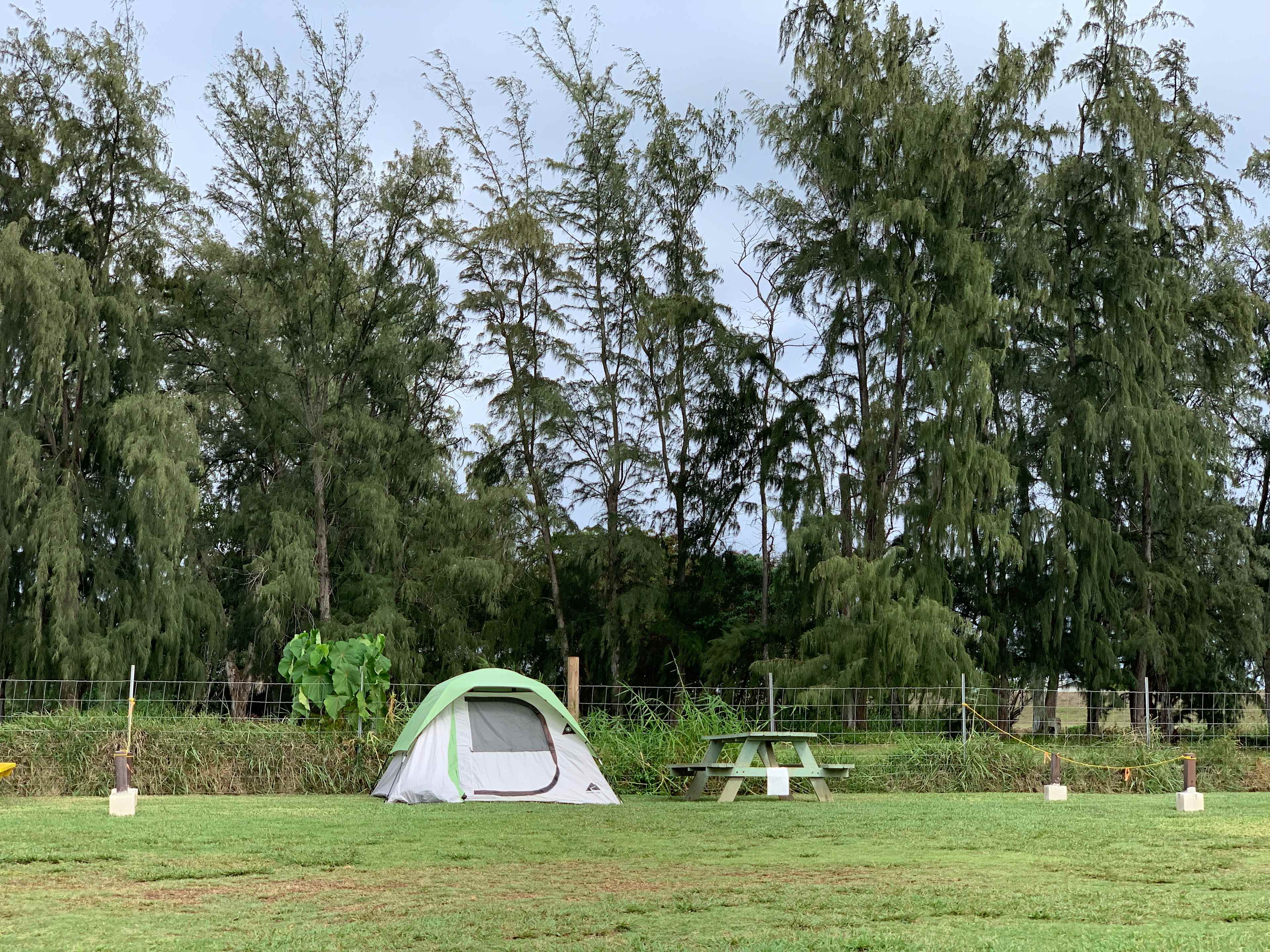 Maleka Farm: Camper-van & Tent