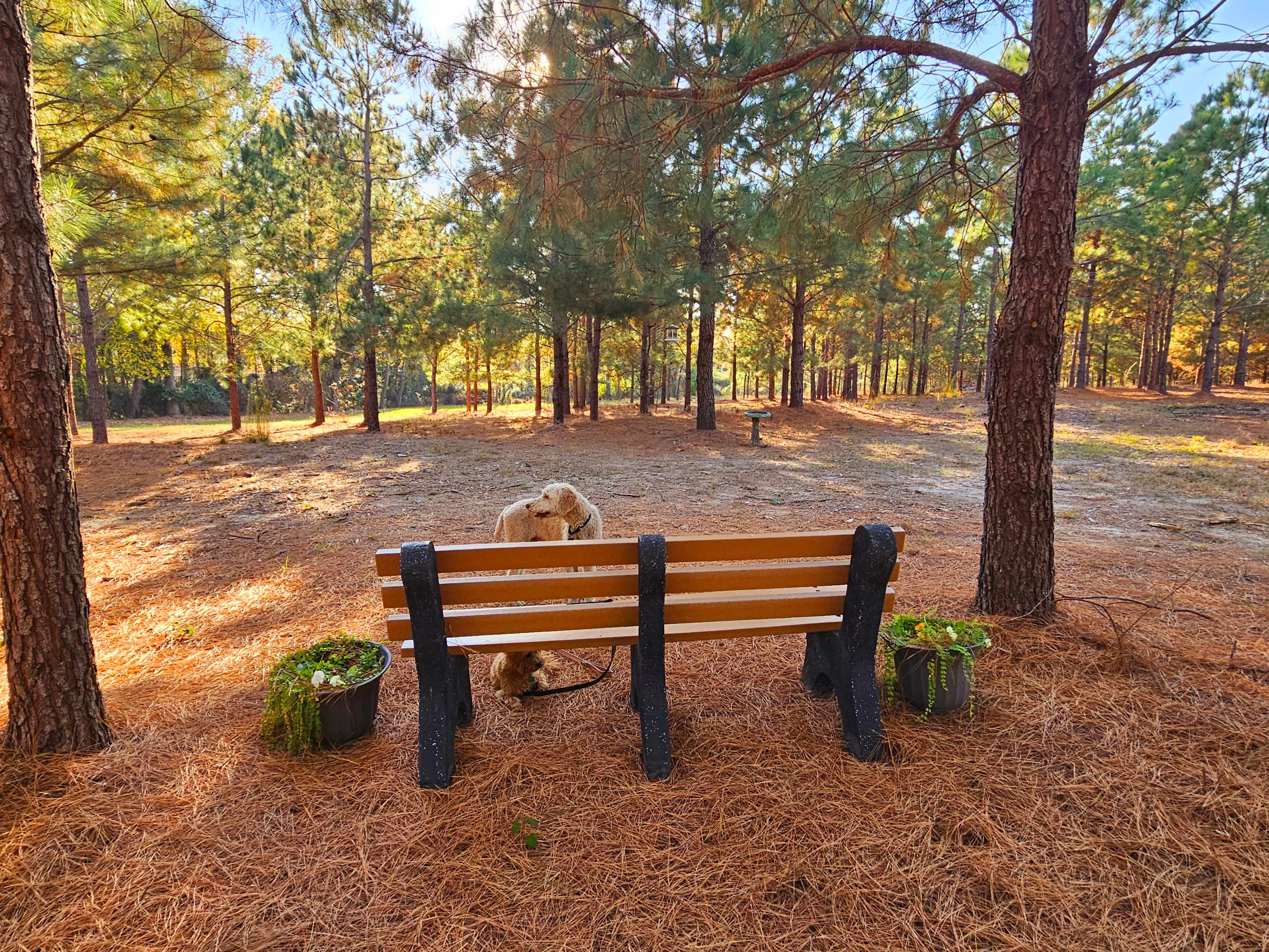 Idlewild Farm Stays
