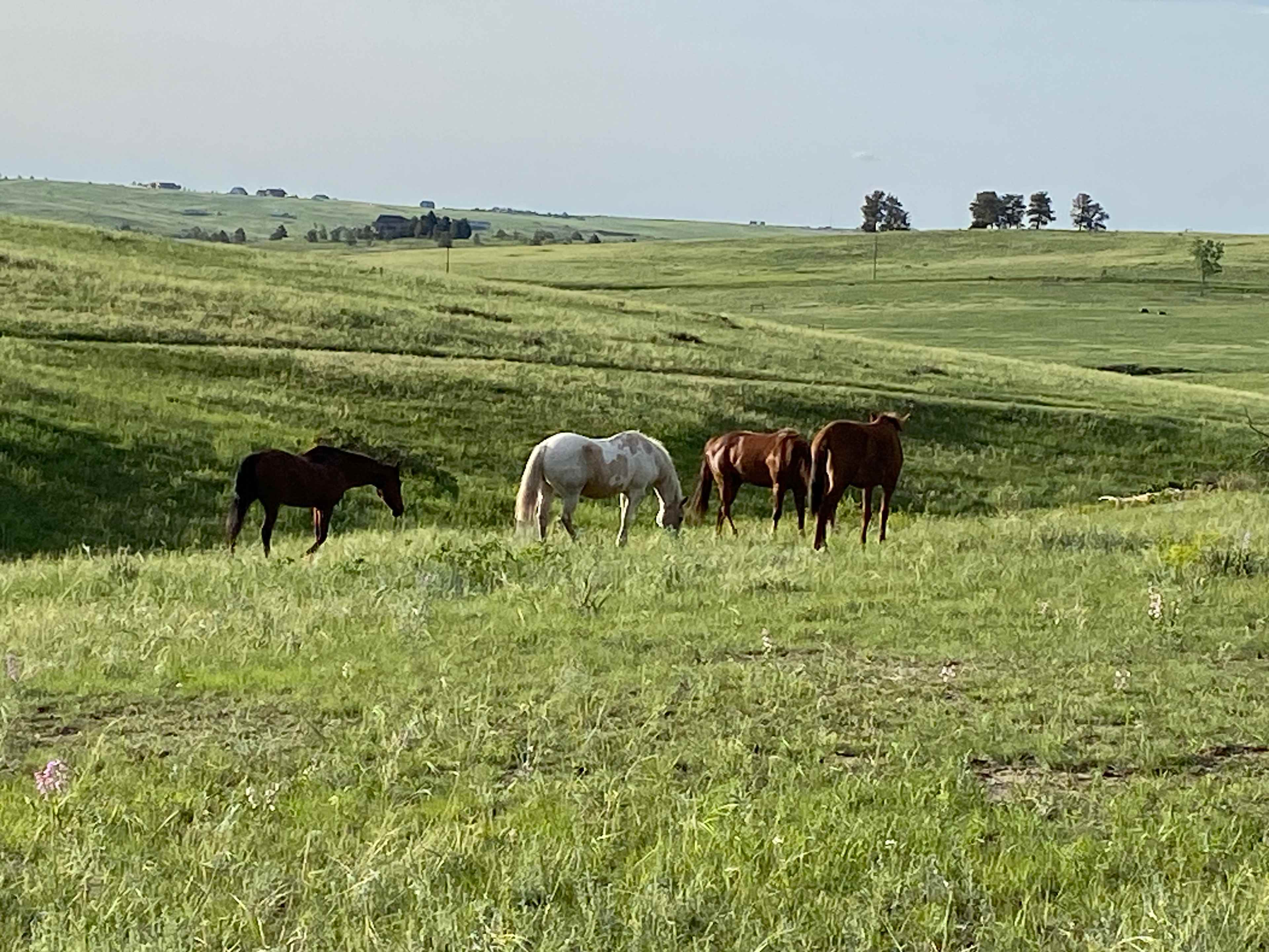 Frog Creek Ranch