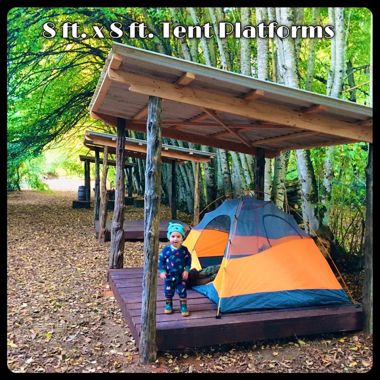 Bamboo Forest Campsite