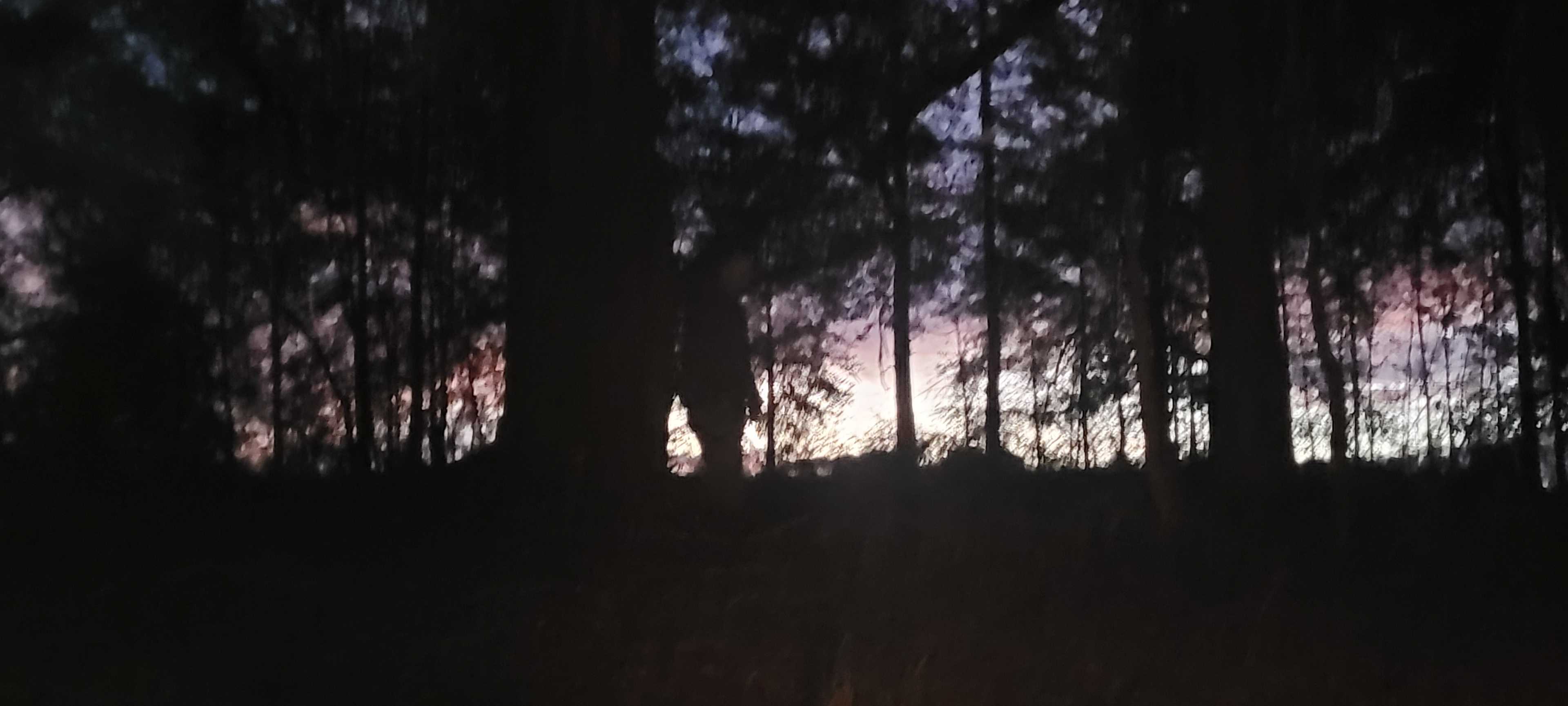 At dusk...wish we would have taken more pics!