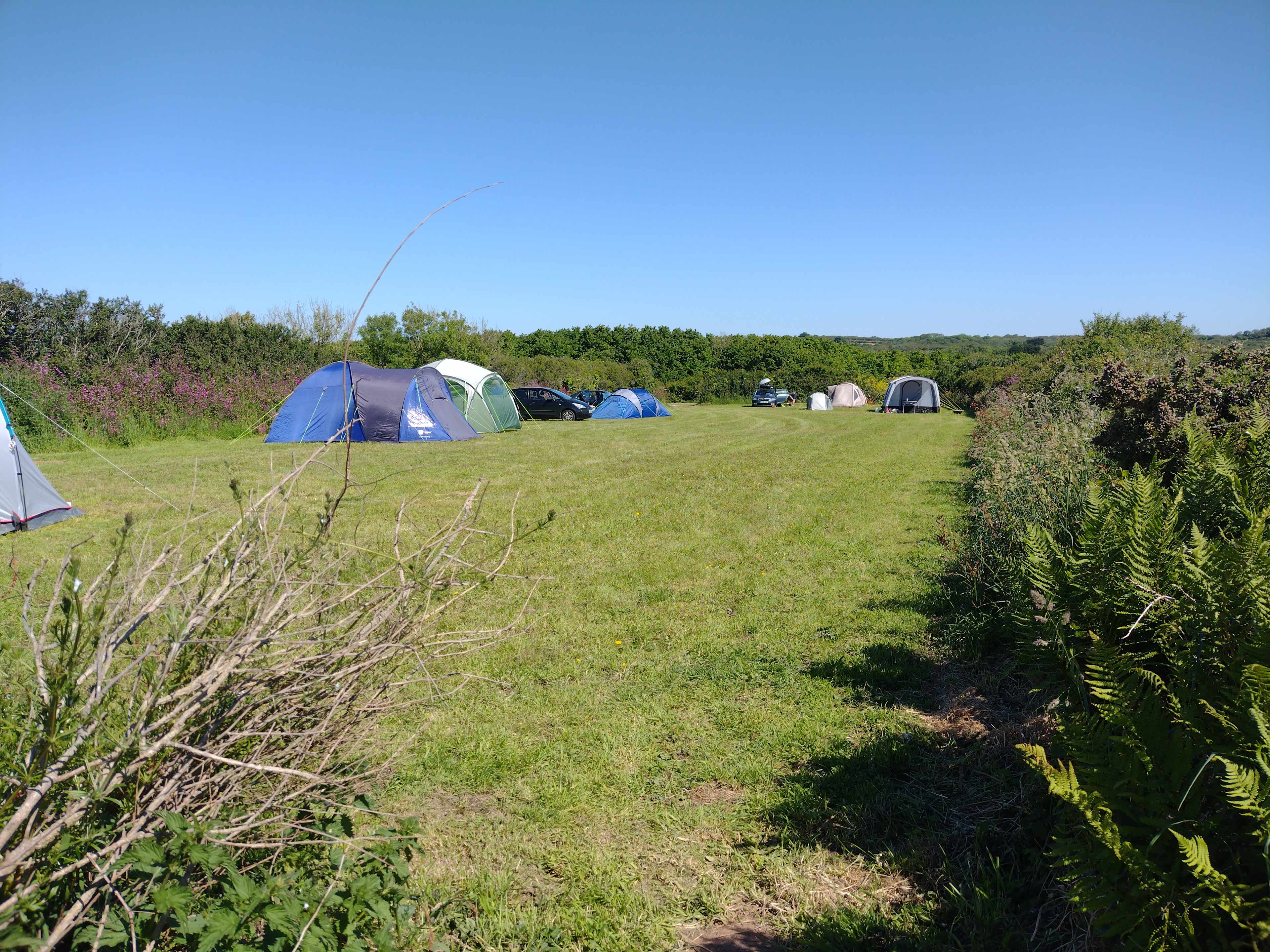 Coverack Camping & Glamping