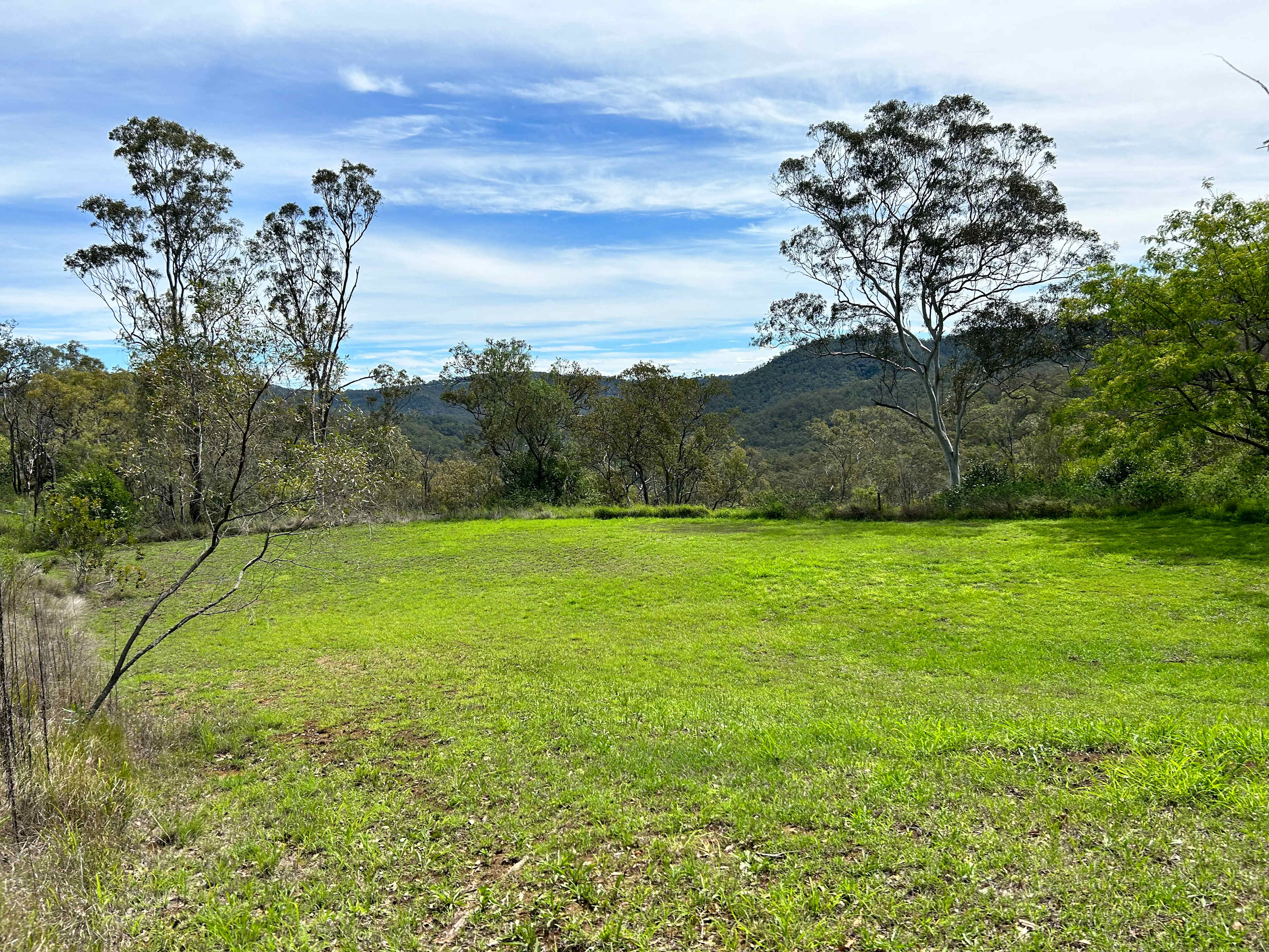 The camping spot is flat and grassy