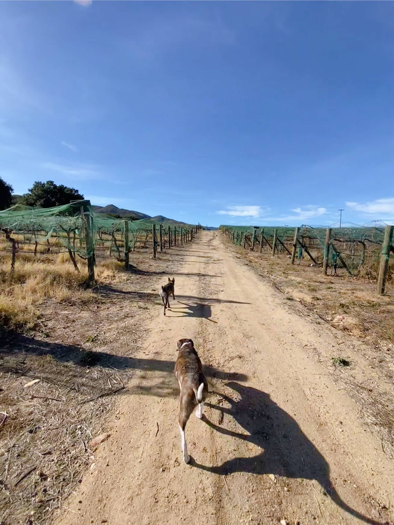 Rancho Esquandolas