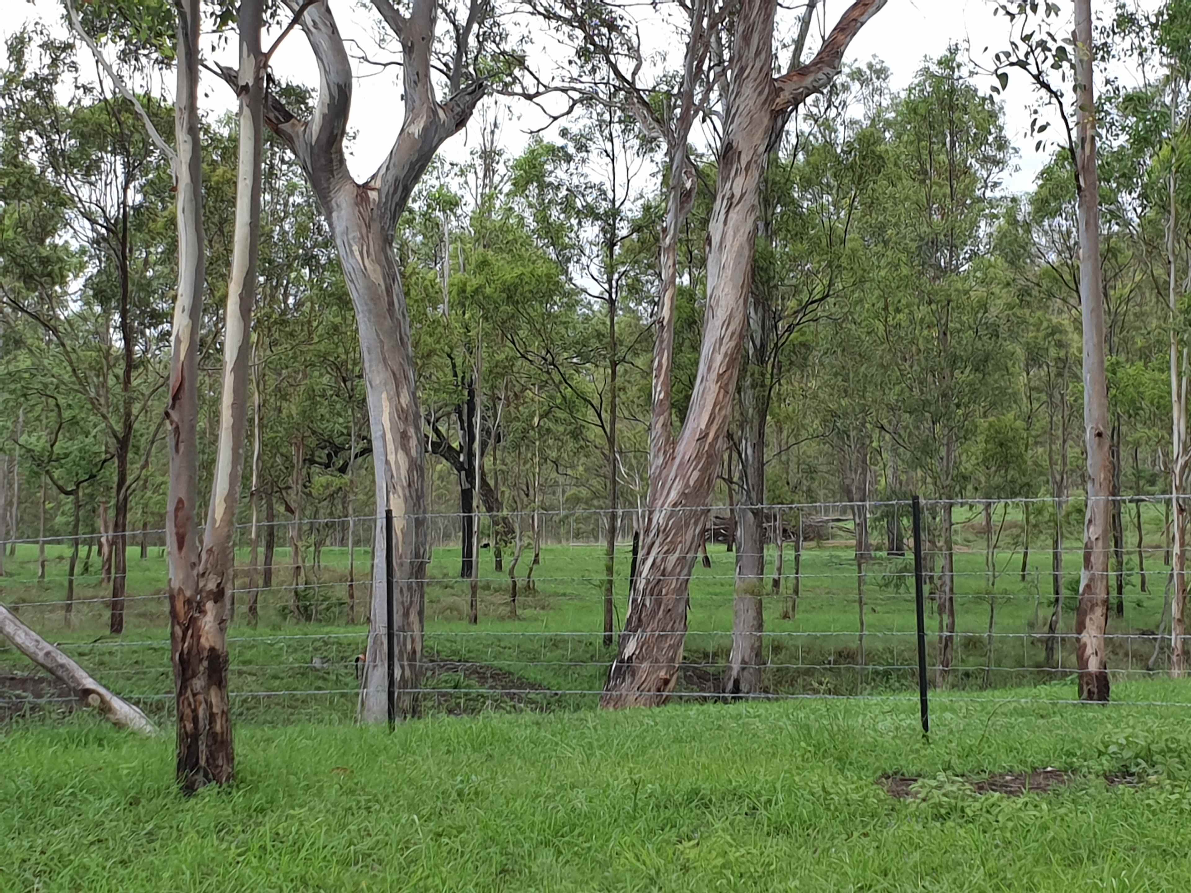 Possum Bush Retreat