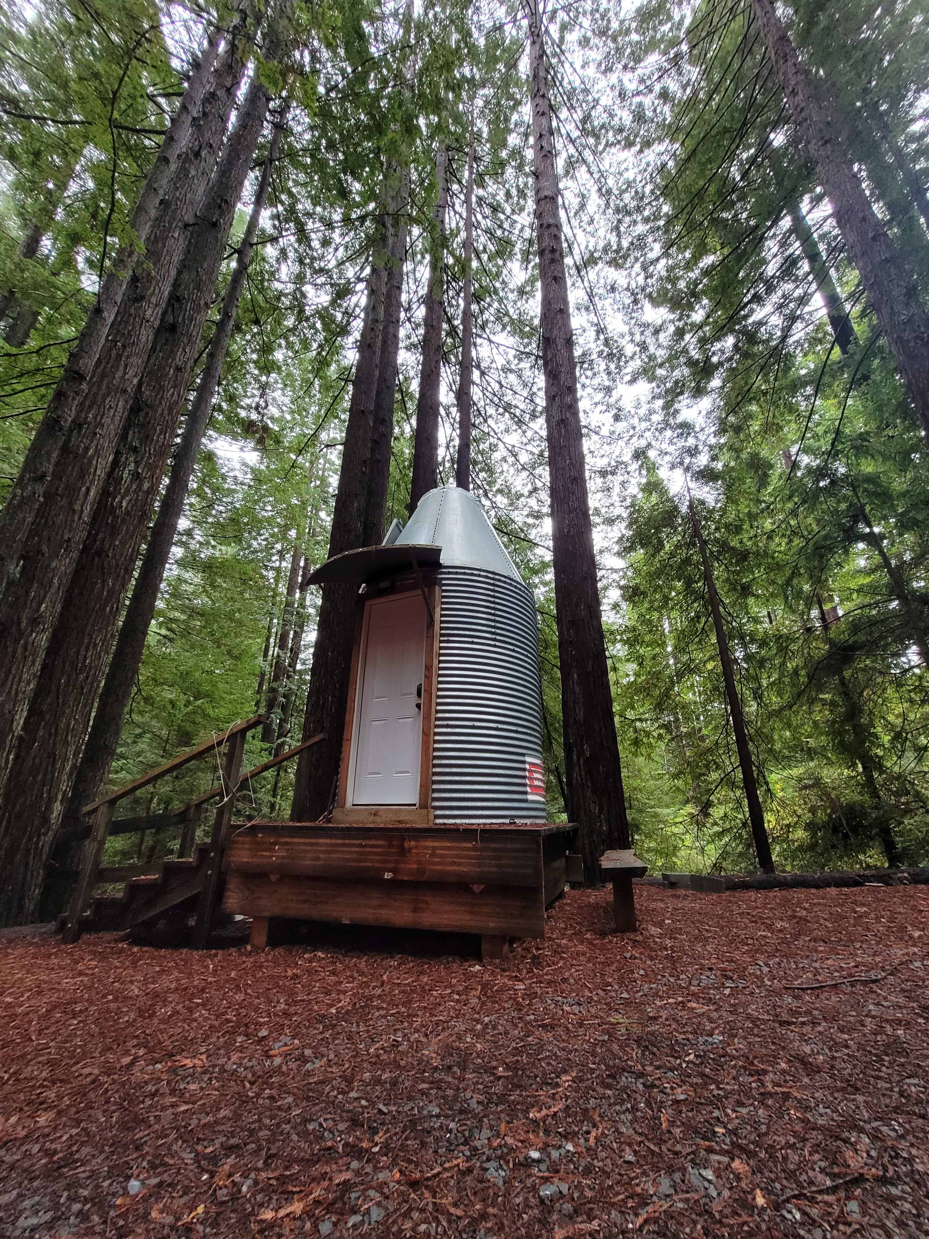 Whispering Redwood Creek