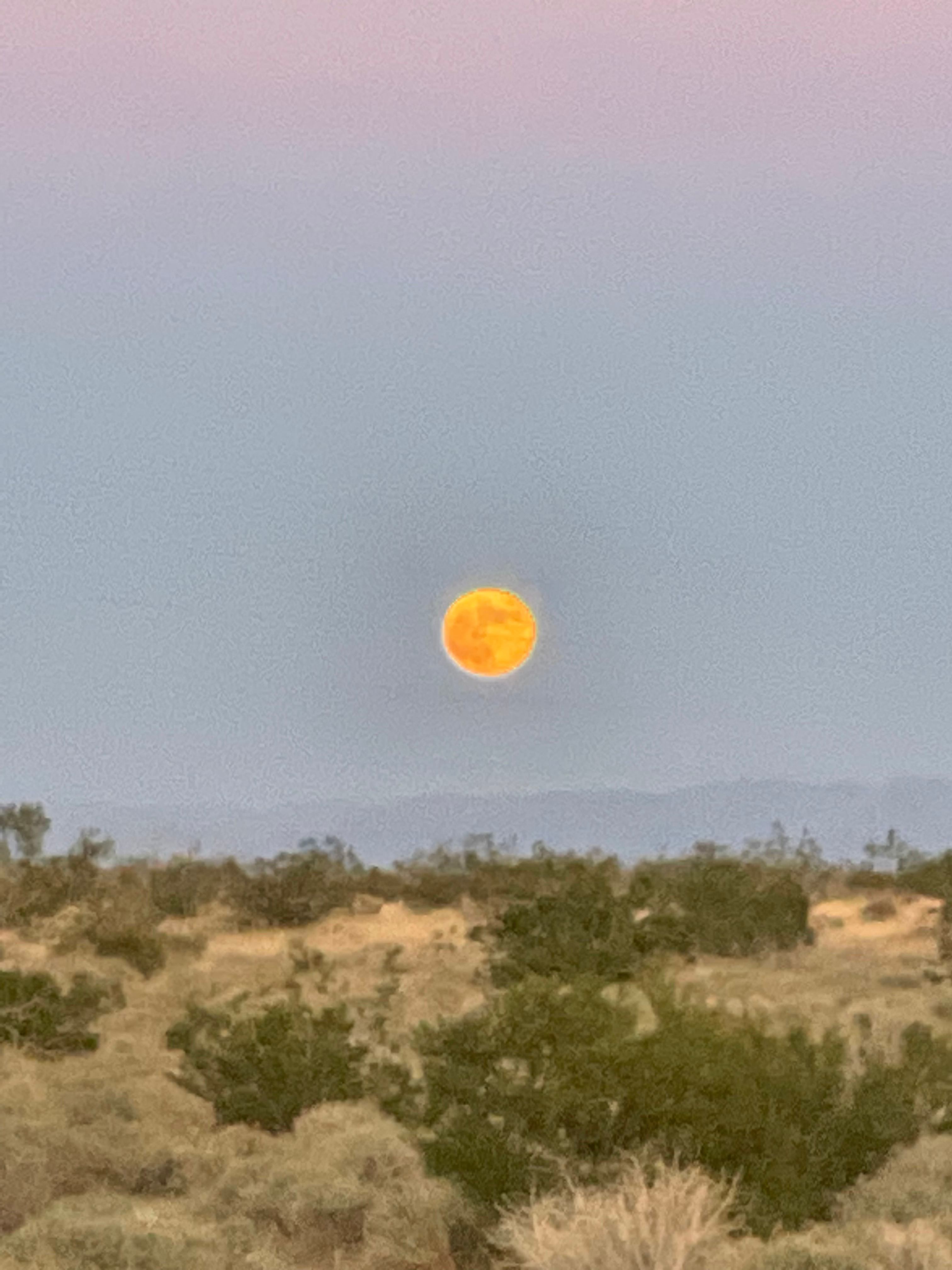 The moon rises are quite special. 