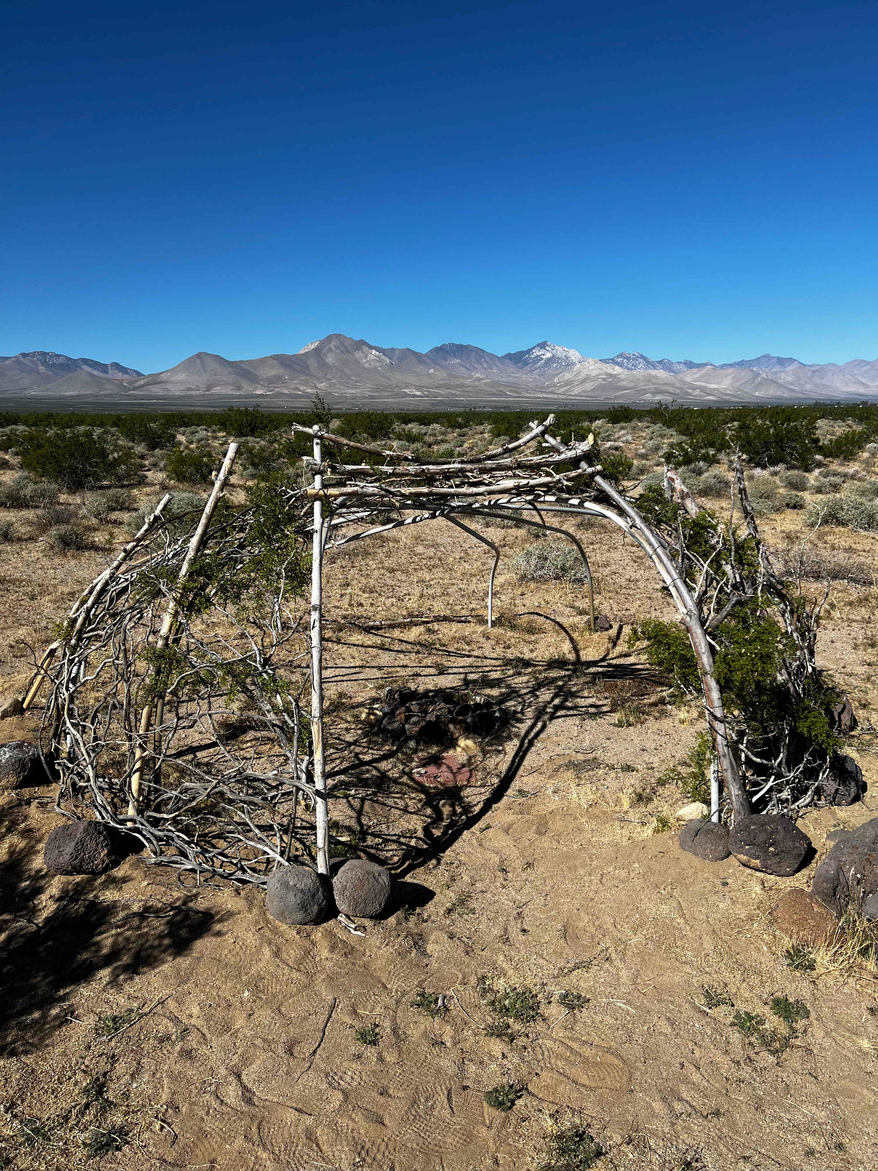 Add a stick or two to our natural yurt we are building. 
