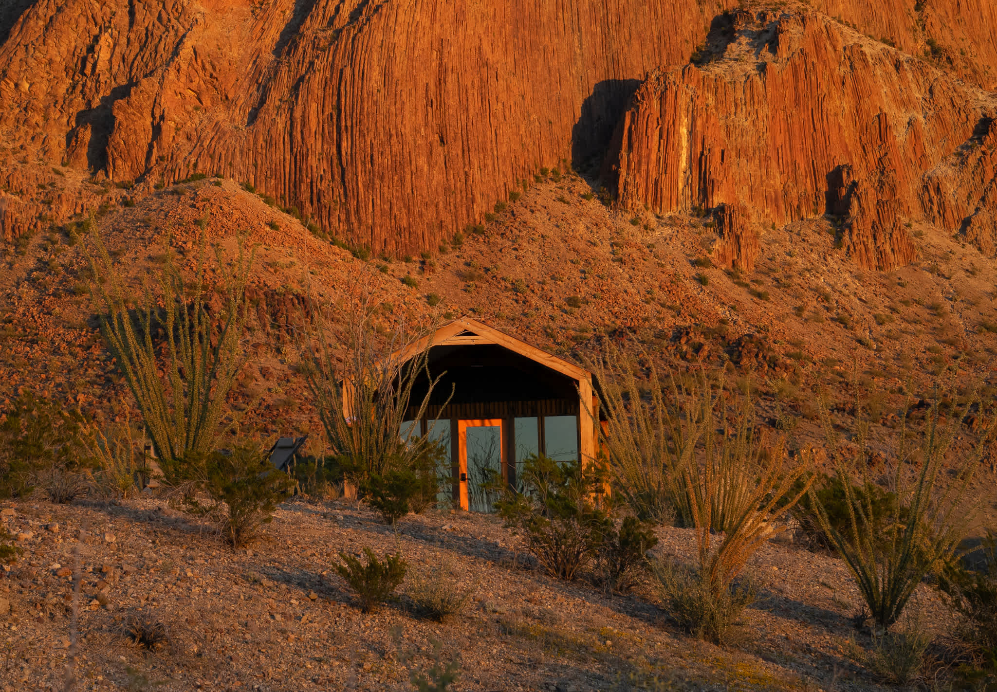 Rancho de los Arboles Muertos