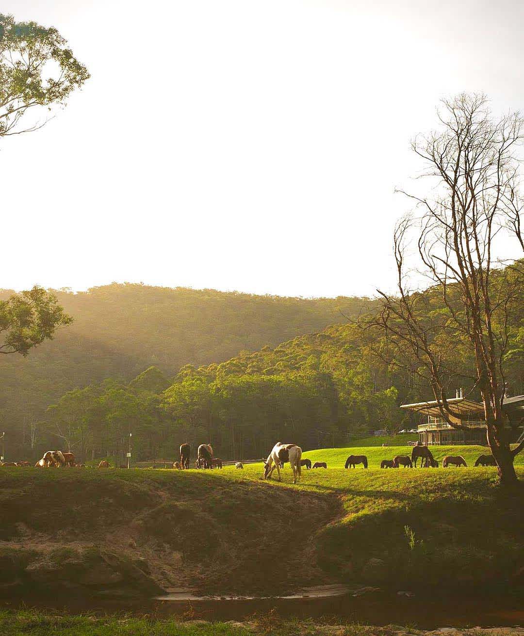 Glenworth Valley Camping Ground