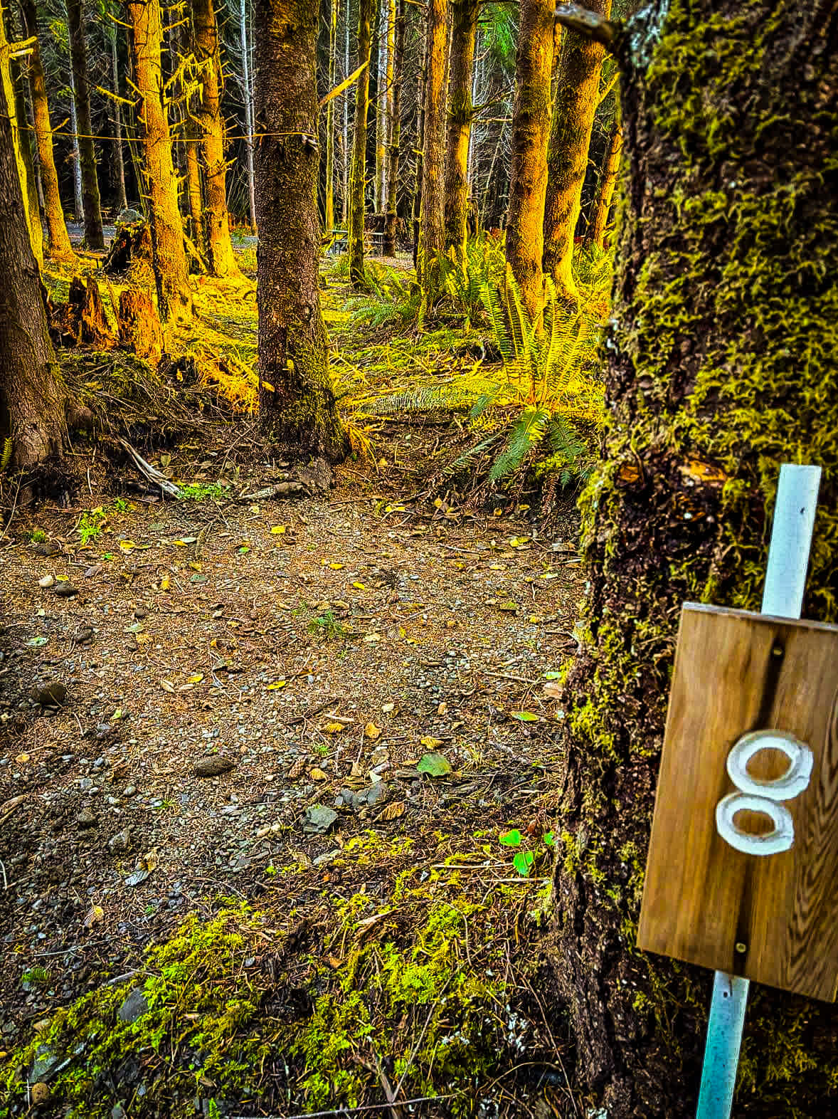 Olympic Adventure Campground
