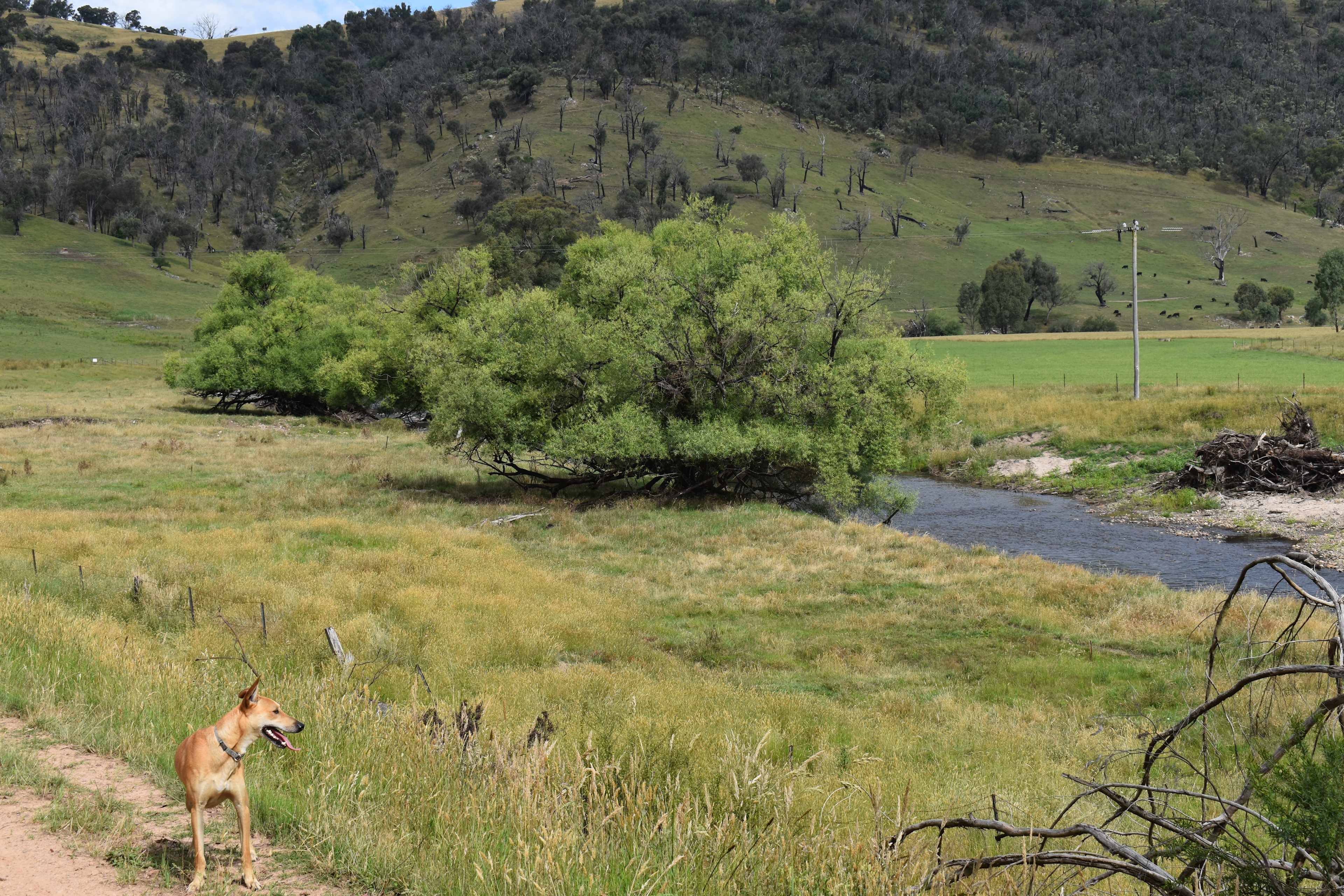 Samsons Gully