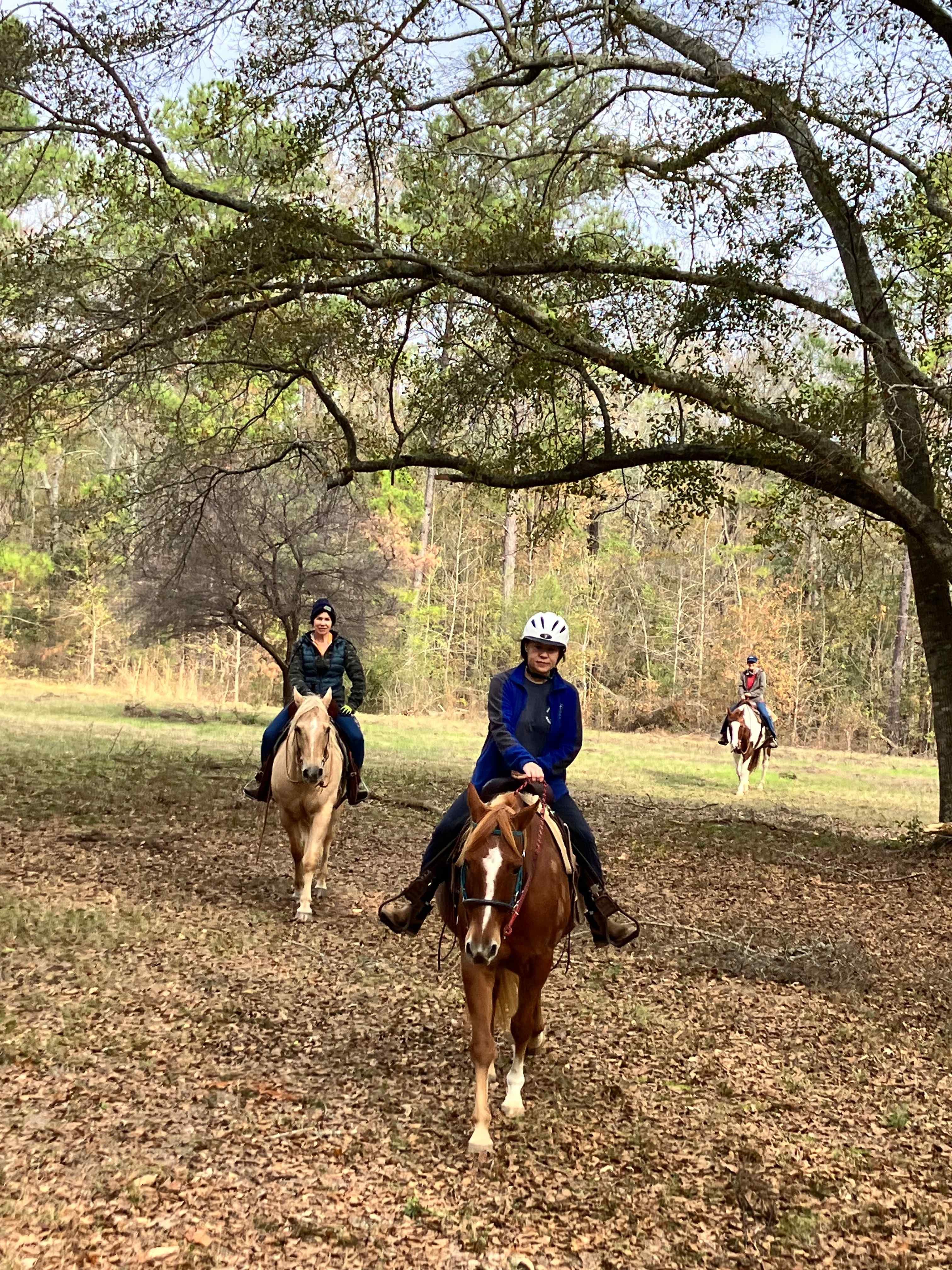 Southern Dreams Ranch