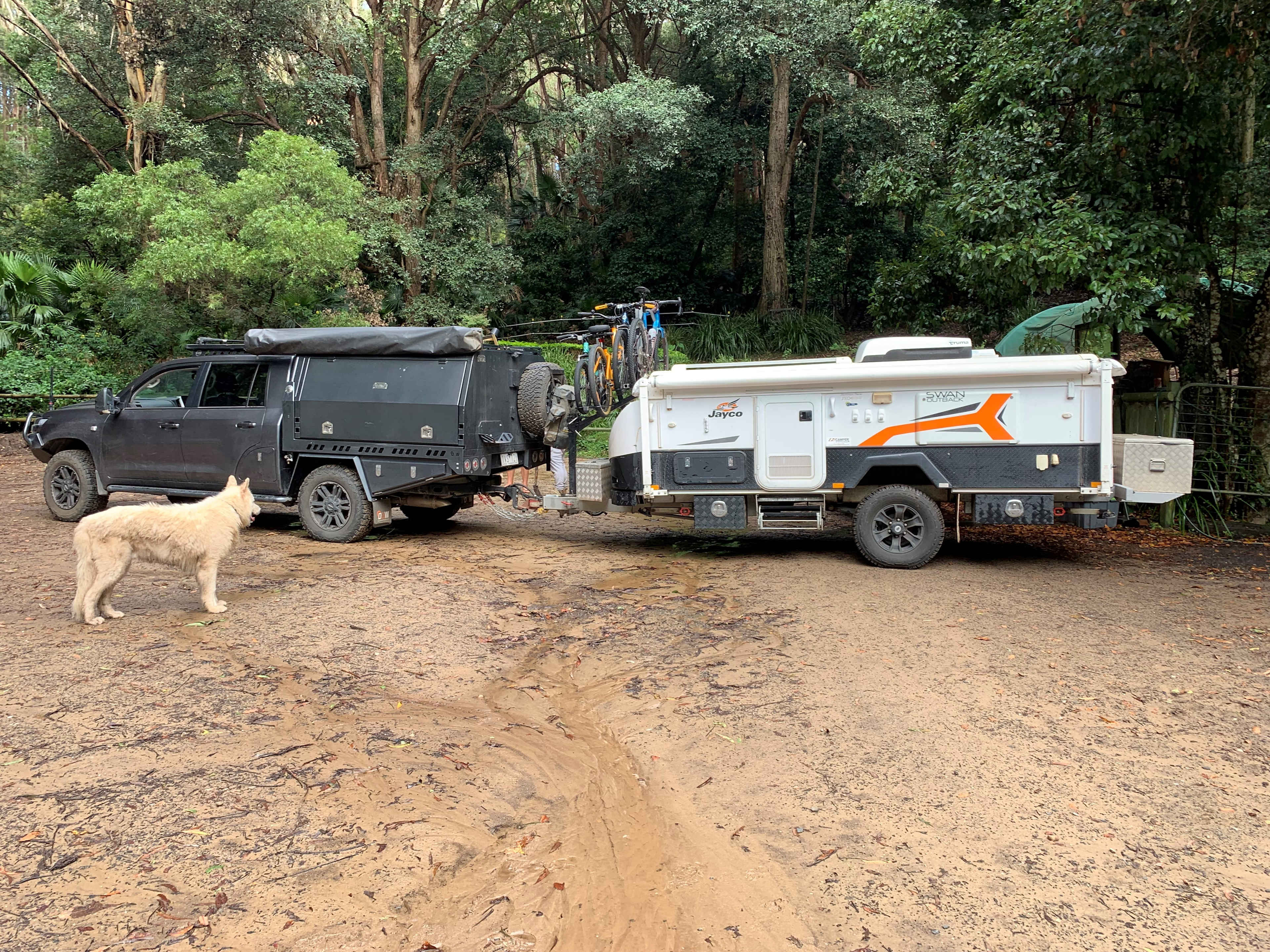 the longest trailer & tow vehicle we've had here