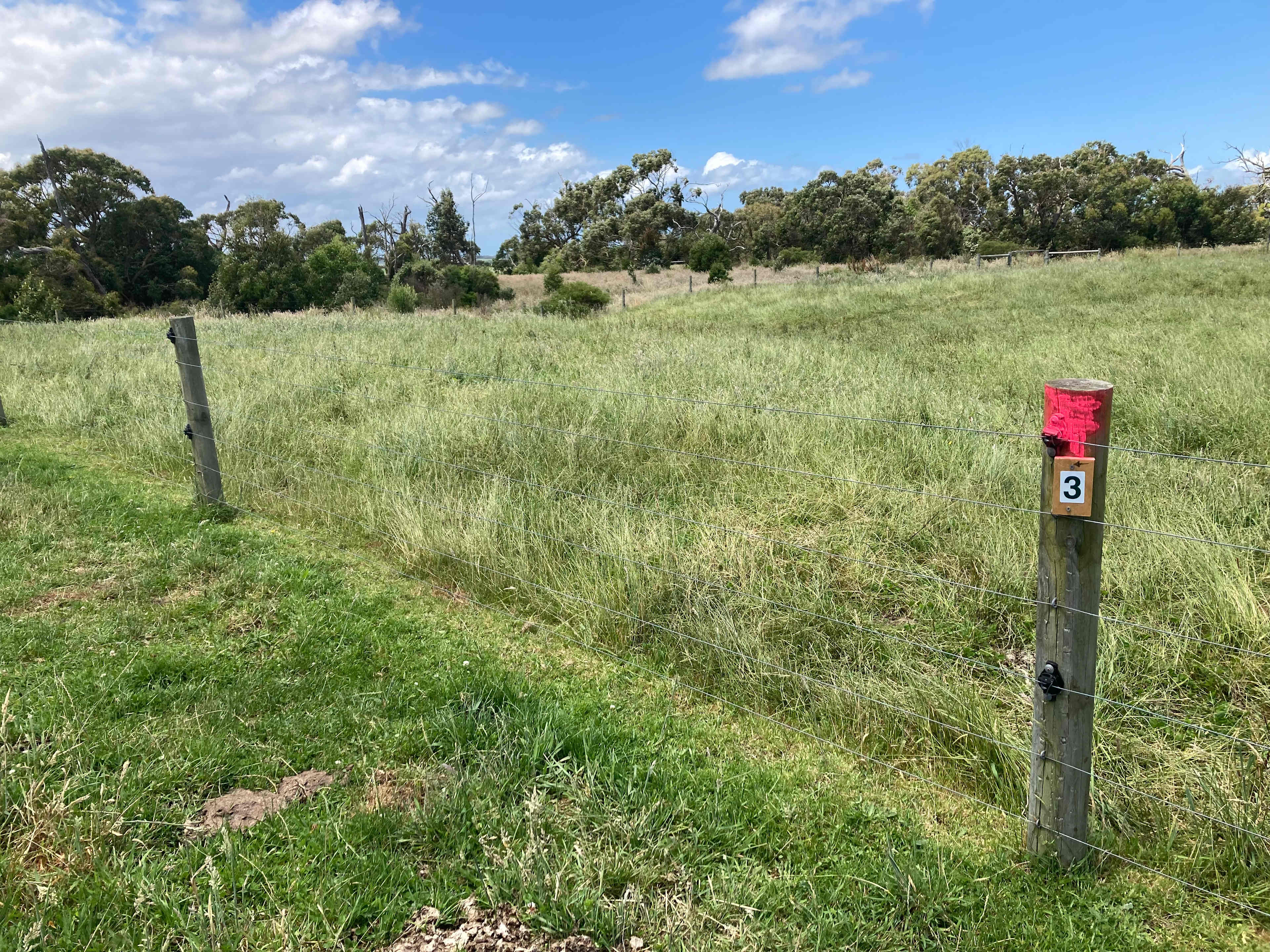 Waratah Camping
