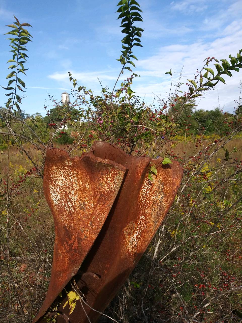 Nature's Park
