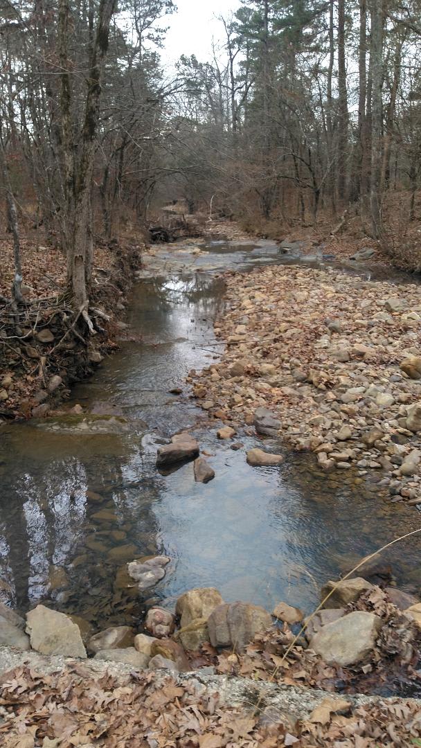 nice creek to play in.  depends on wet weather to flow. 