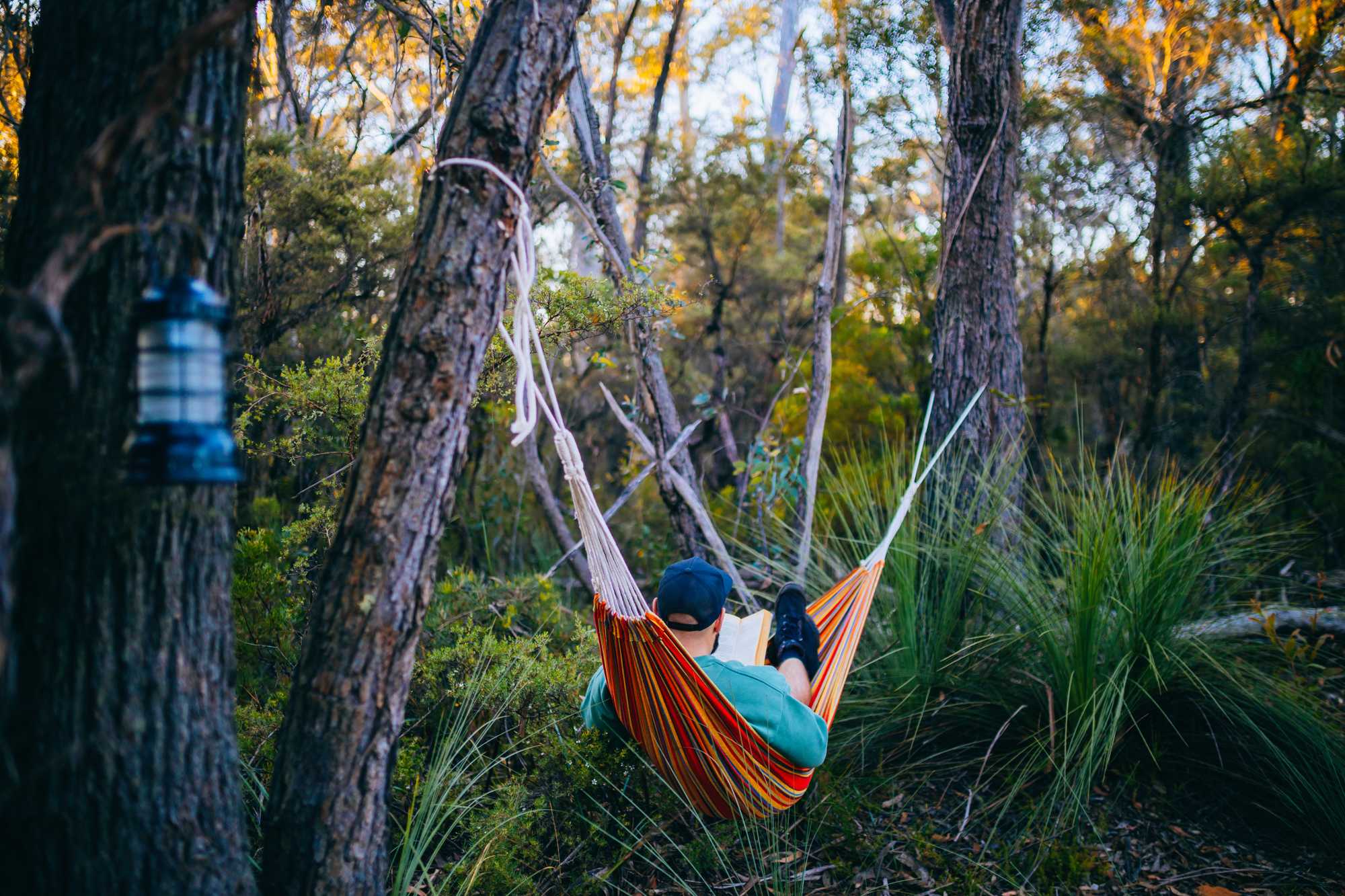 Camp Medlow