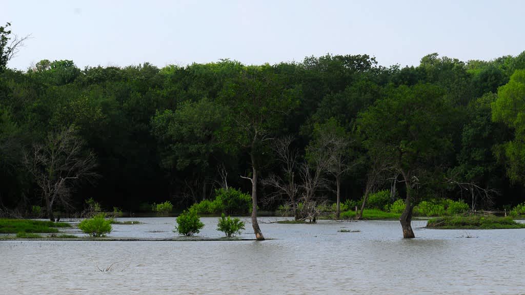 Hagerman National Wildlife Refuge