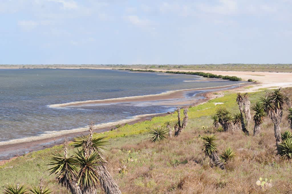 Laguna Atascosa National Wildlife Refuge