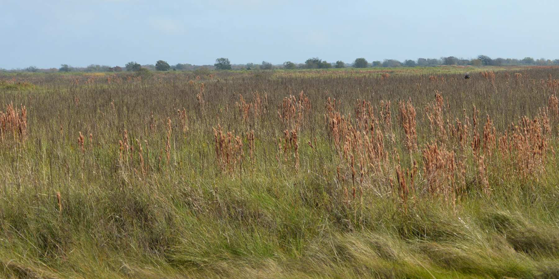 San Bernard National Wildlife Refuge