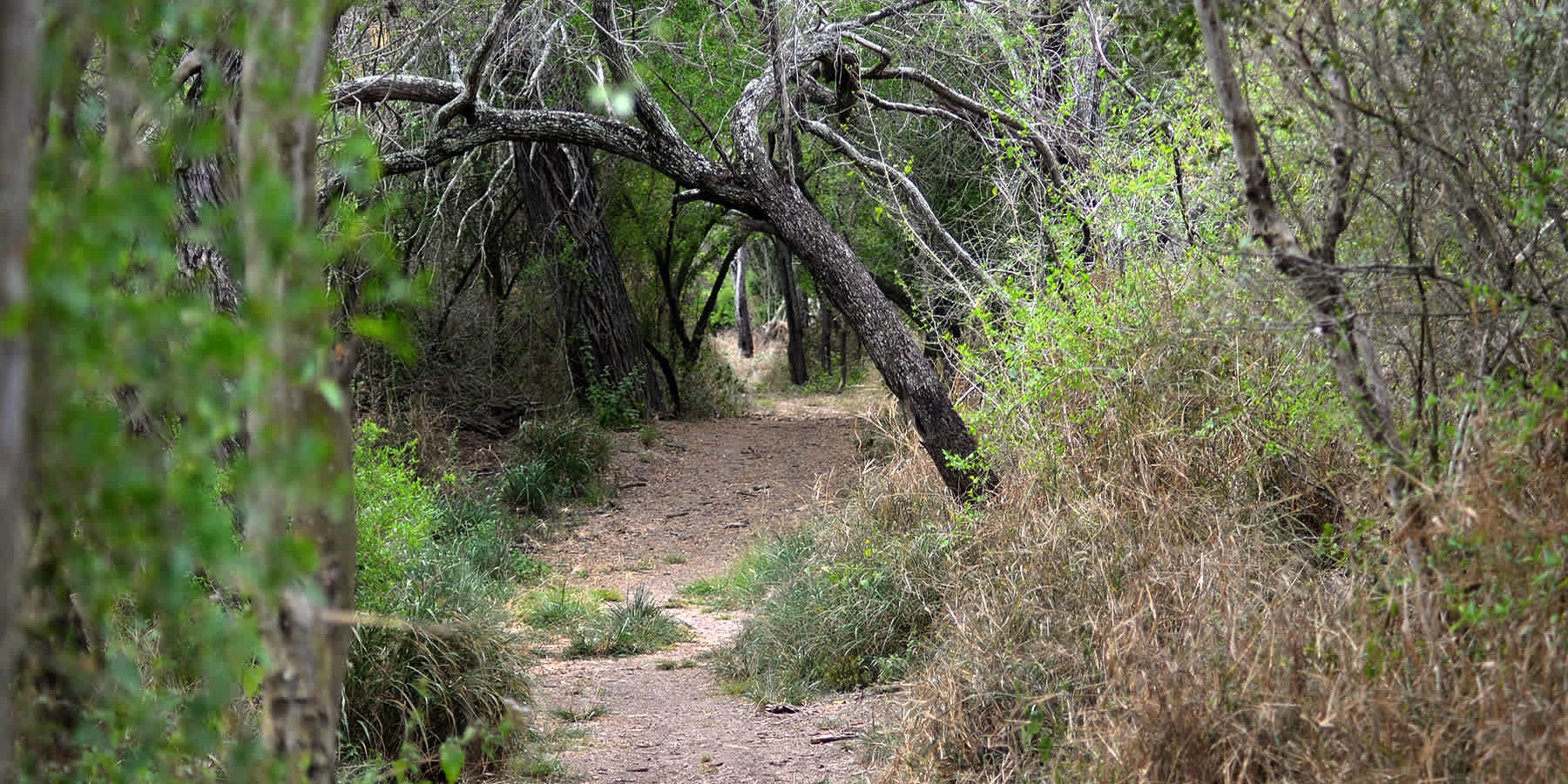 Santa Ana National Wildlife Refuge