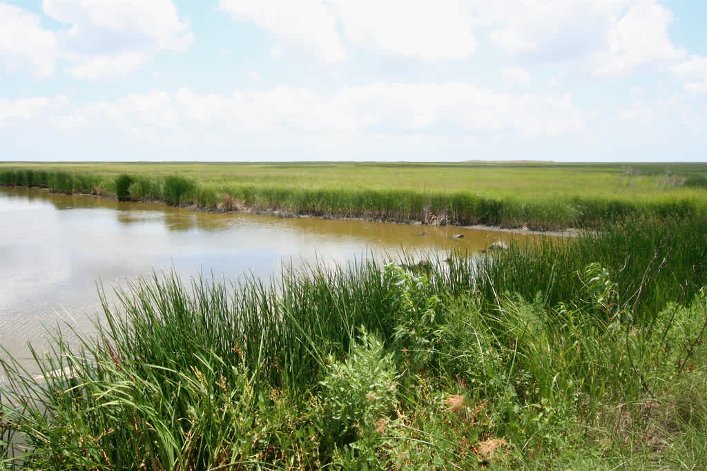 Texas Point National Wildlife Refuge