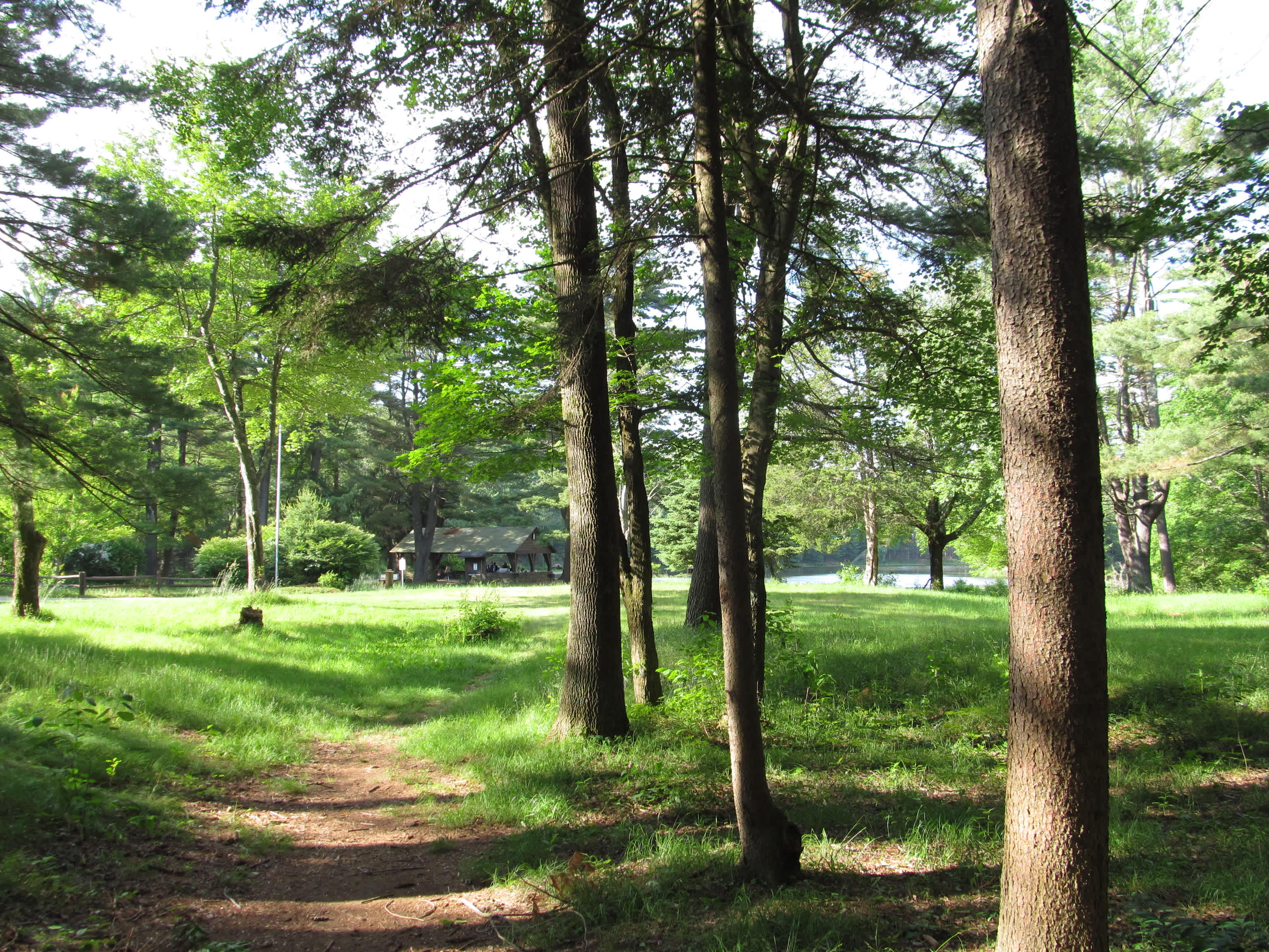 Brimfield State Forest