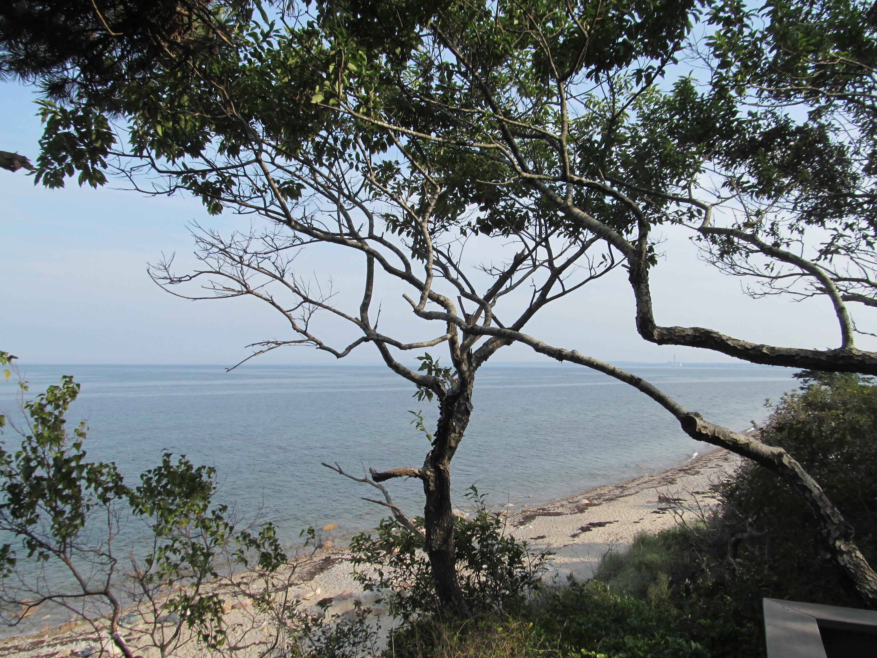 Ellisville Harbor State Park