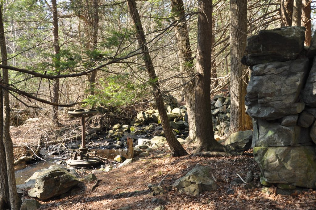 Georgetown-Rowley State Forest