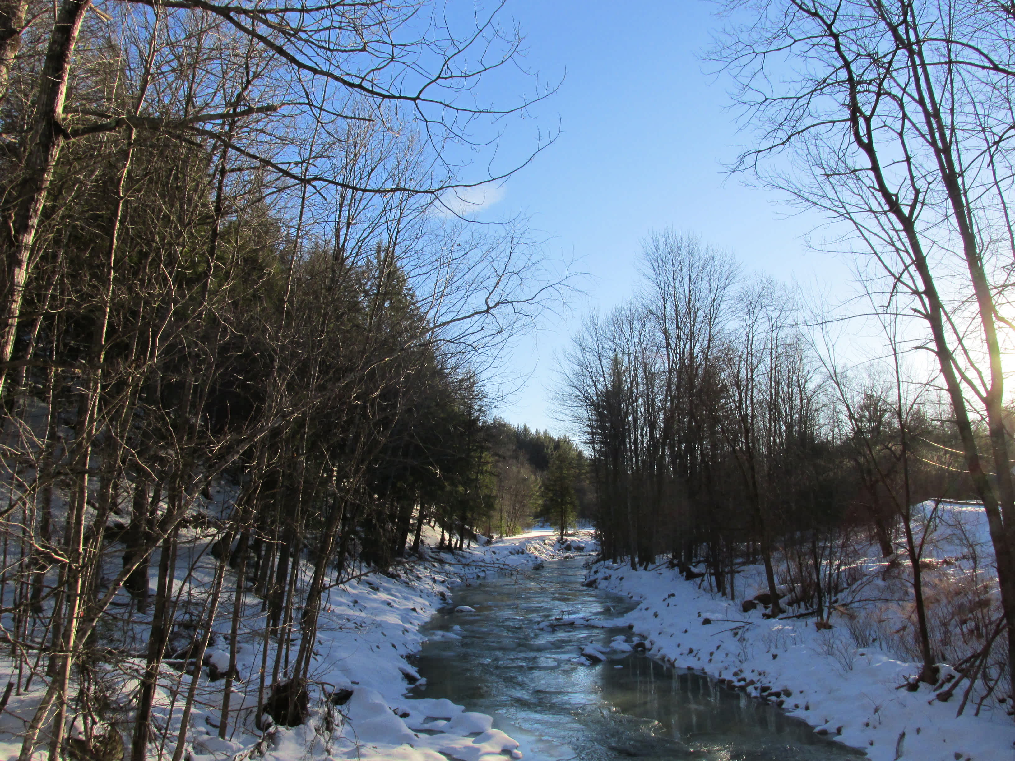 Kenneth Dubuque Memorial State Forest