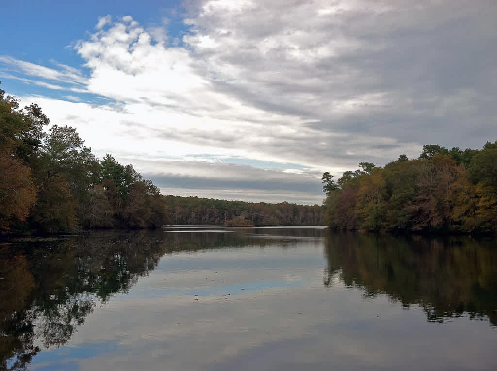 Mashpee National Wildlife Refuge