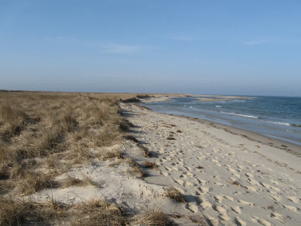 Monomoy National Wildlife Refuge