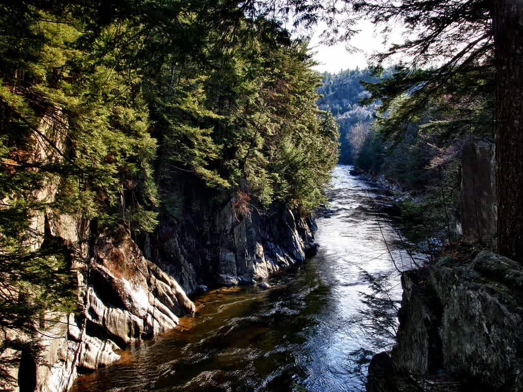 Monroe State Forest