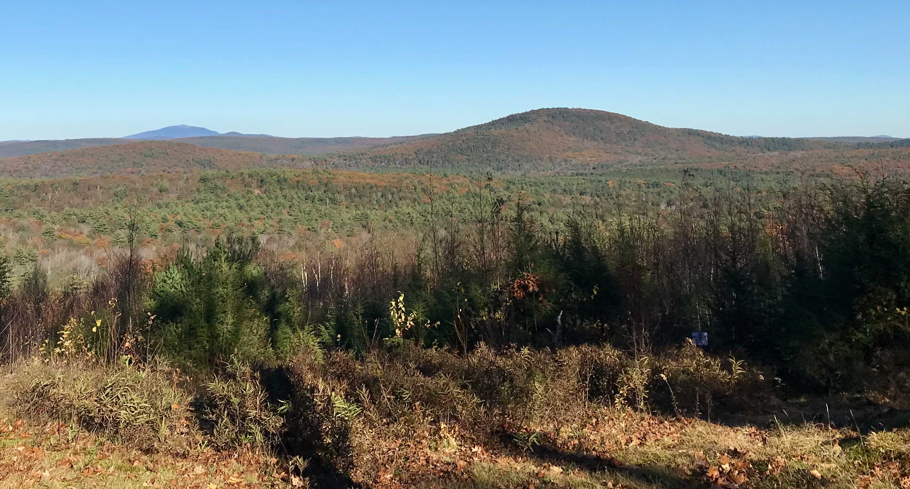 Mount Grace State Forest