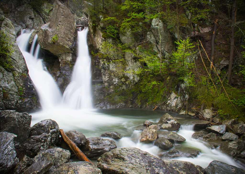 Mount Washington State Forest