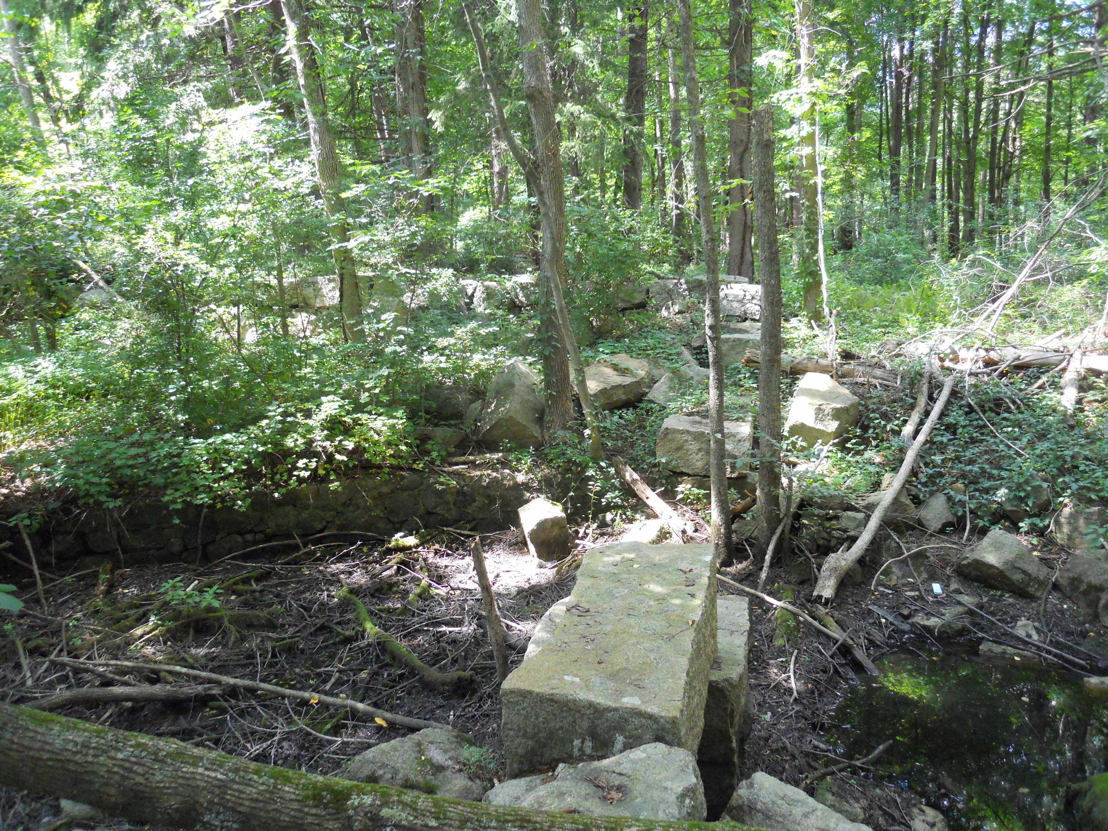 Willowdale State Forest