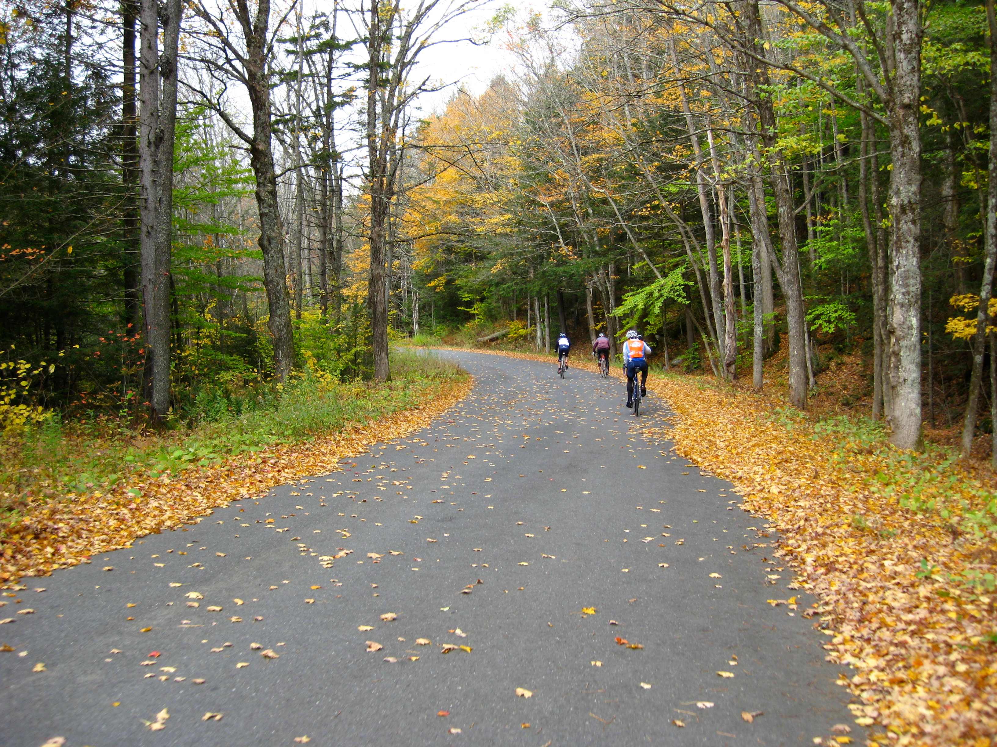 Windsor State Forest