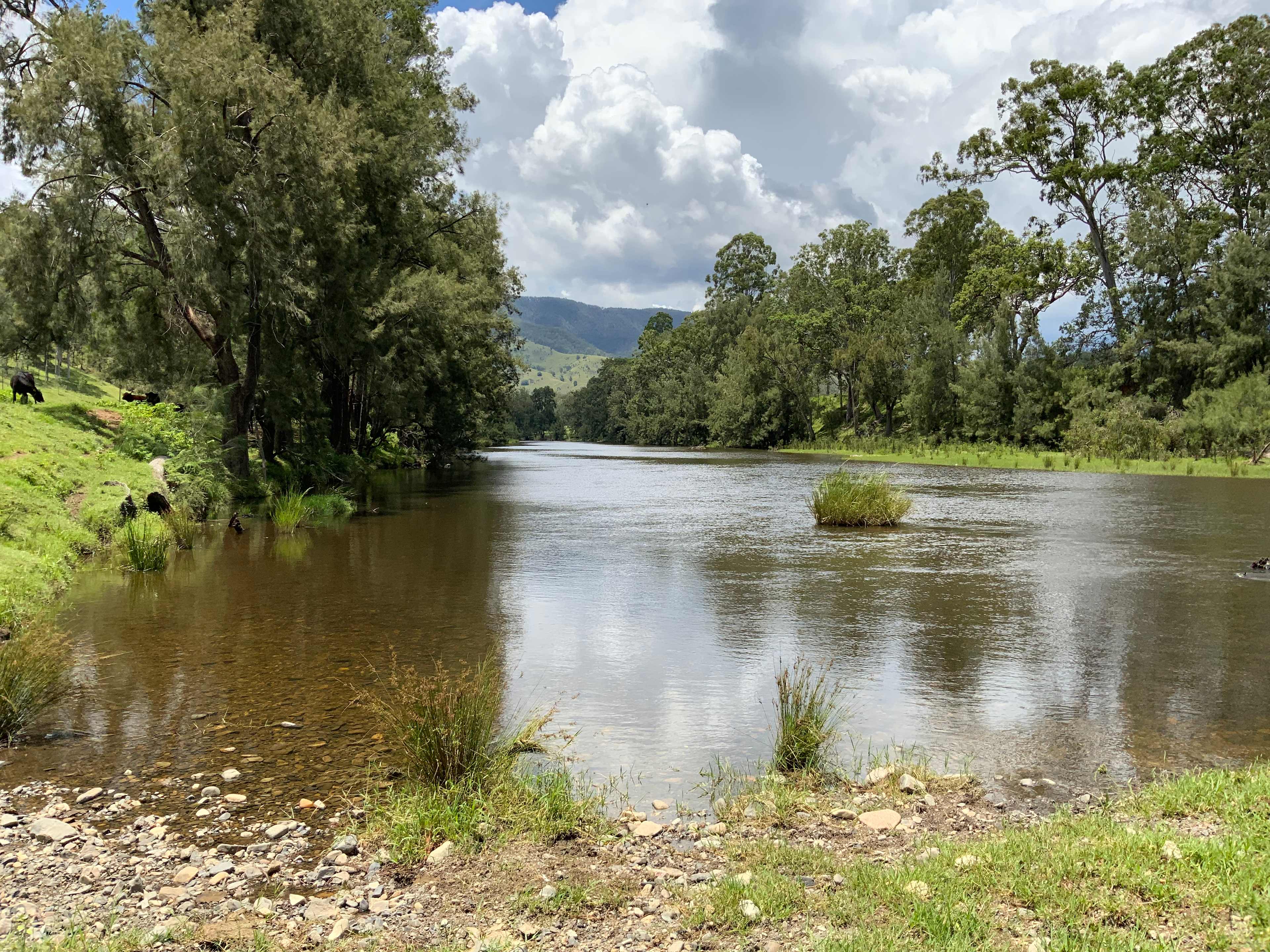 Timbarra Valley