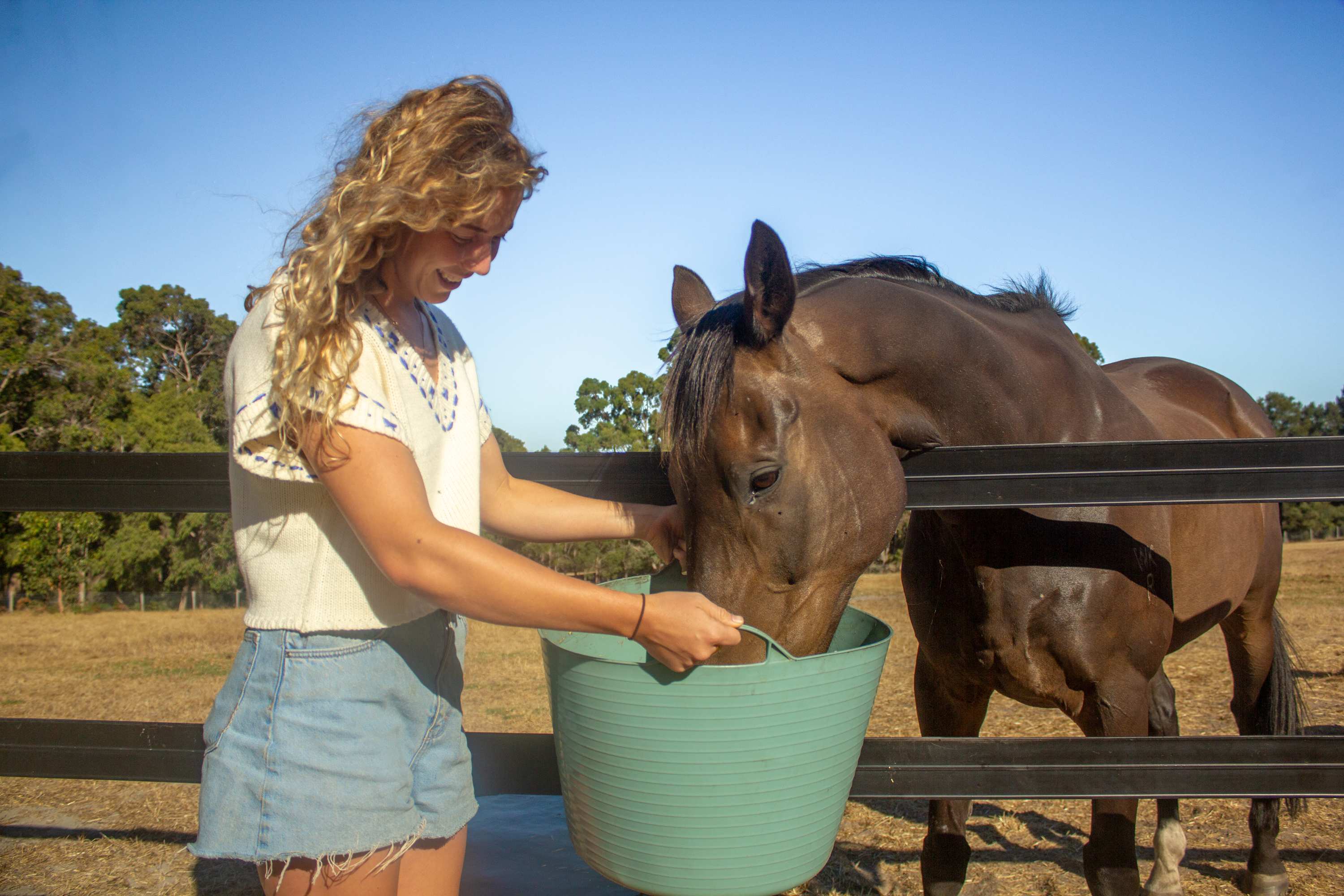 Activity- feeding Ziddles the beautiful ex-race horse that now lives at The Stable Yards 