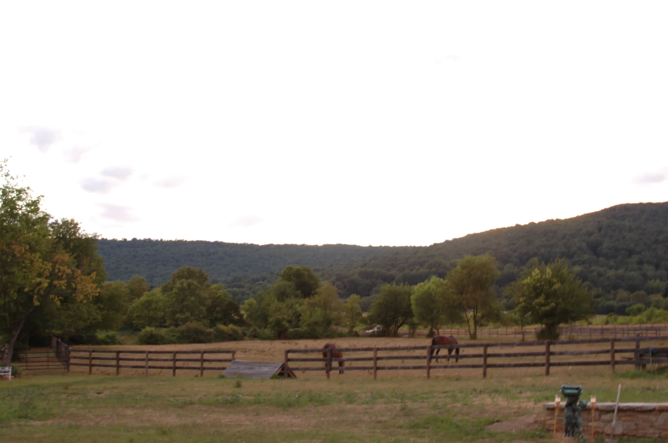 Rafeen Farm