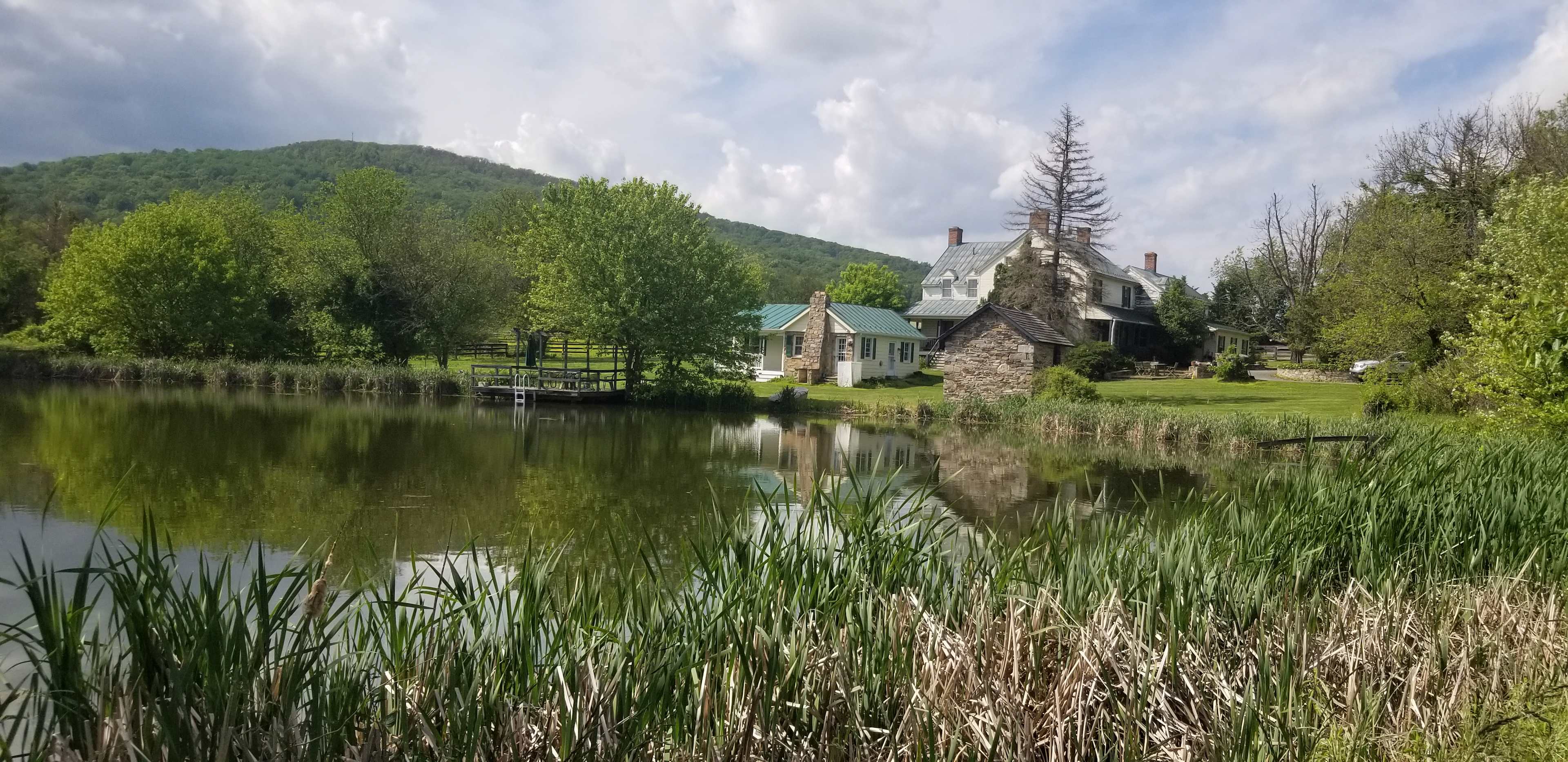 Rafeen Farm