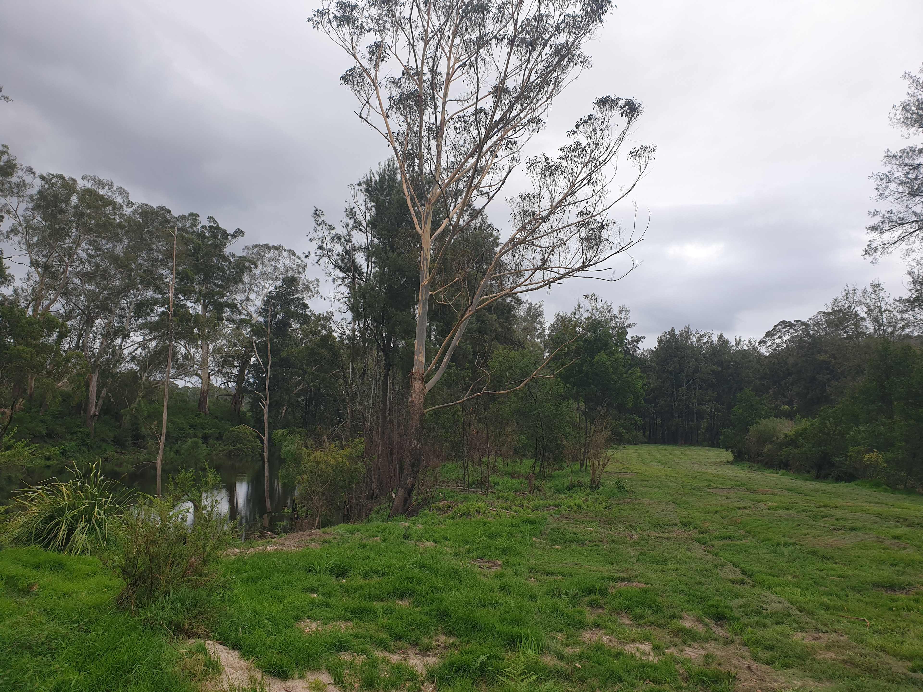Rangers camp site area - centre and right. Looking north (up stream).