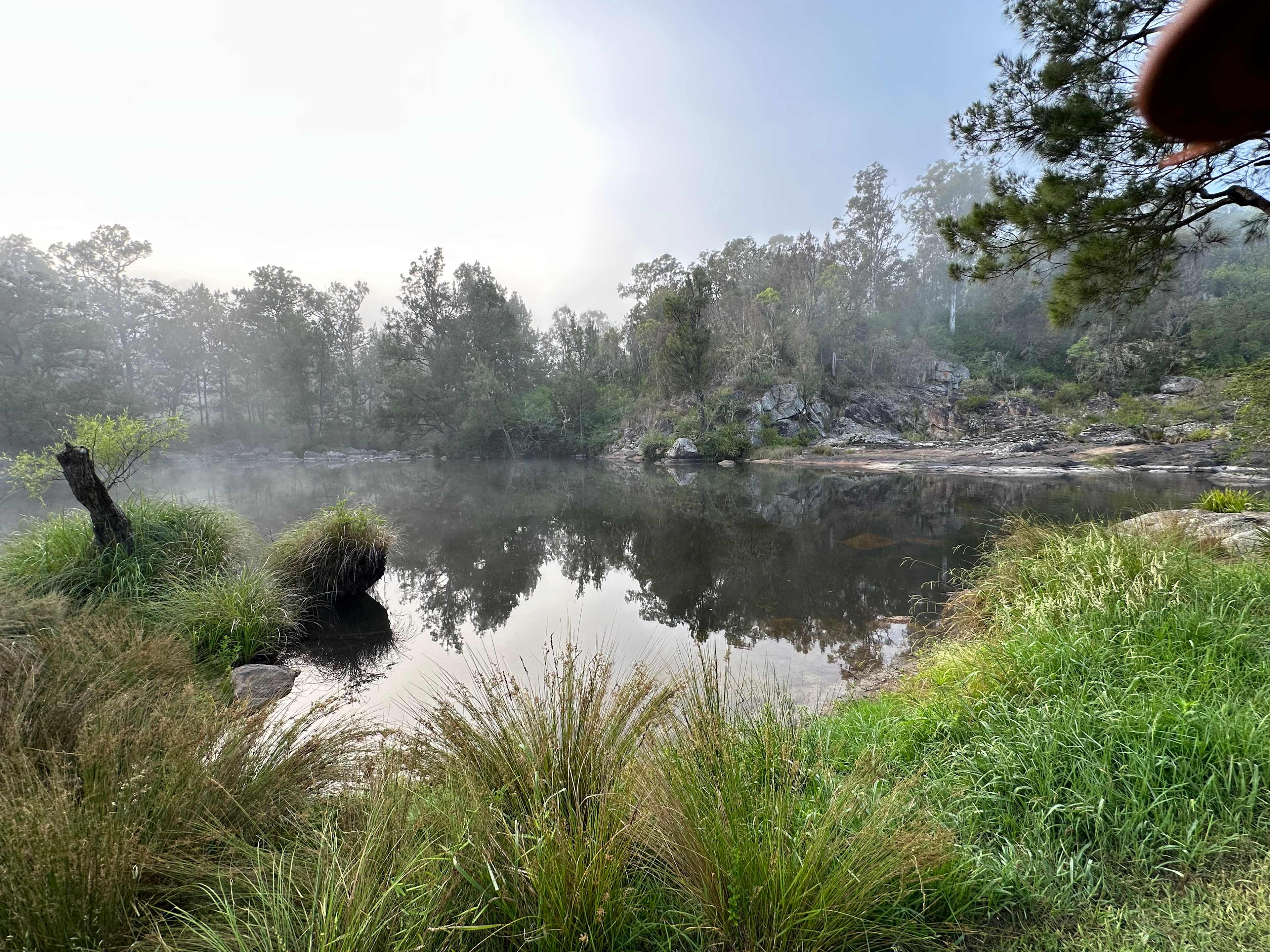 Fog in the morning