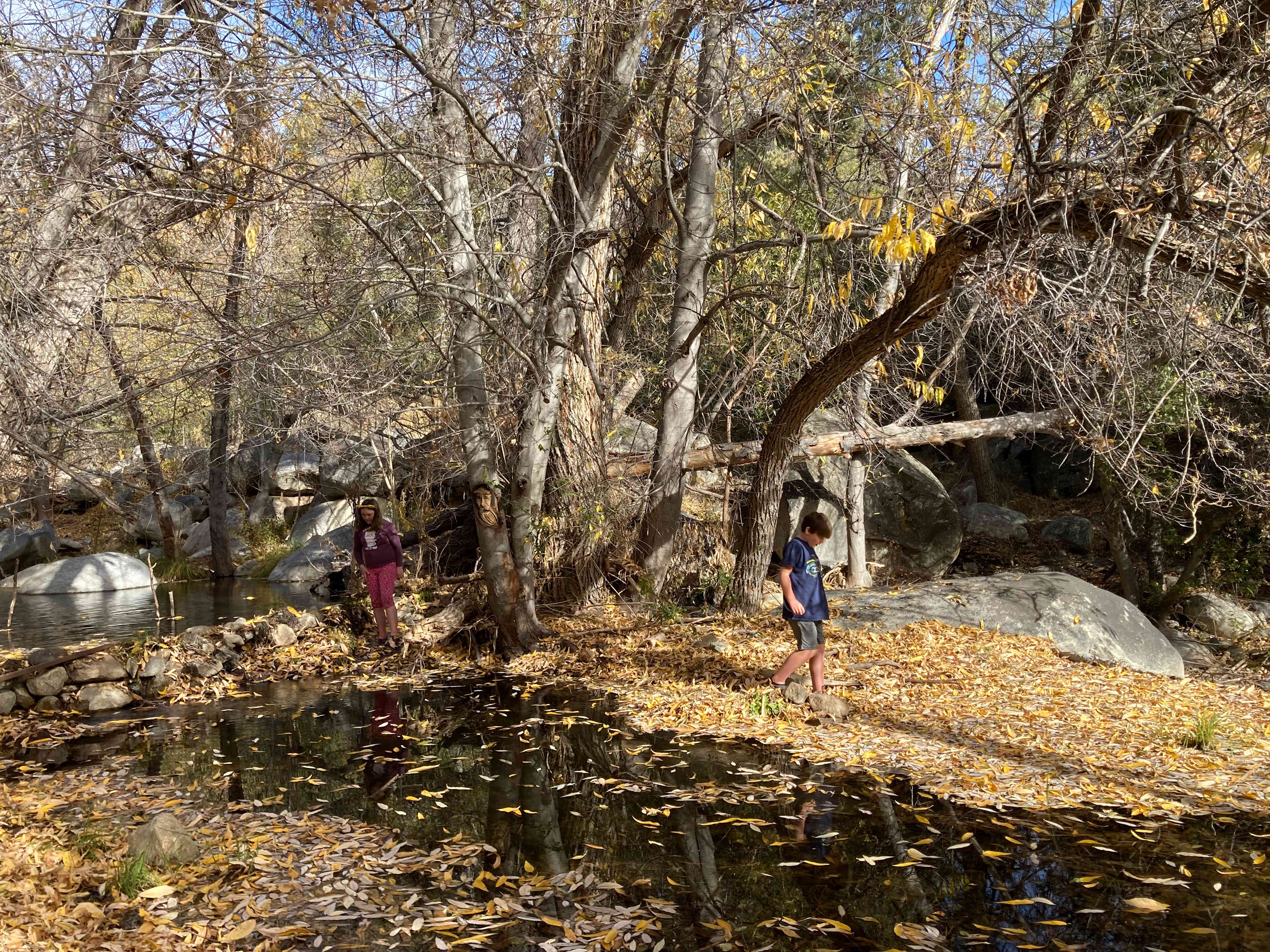 Tillie Creek, down the path below the swing
