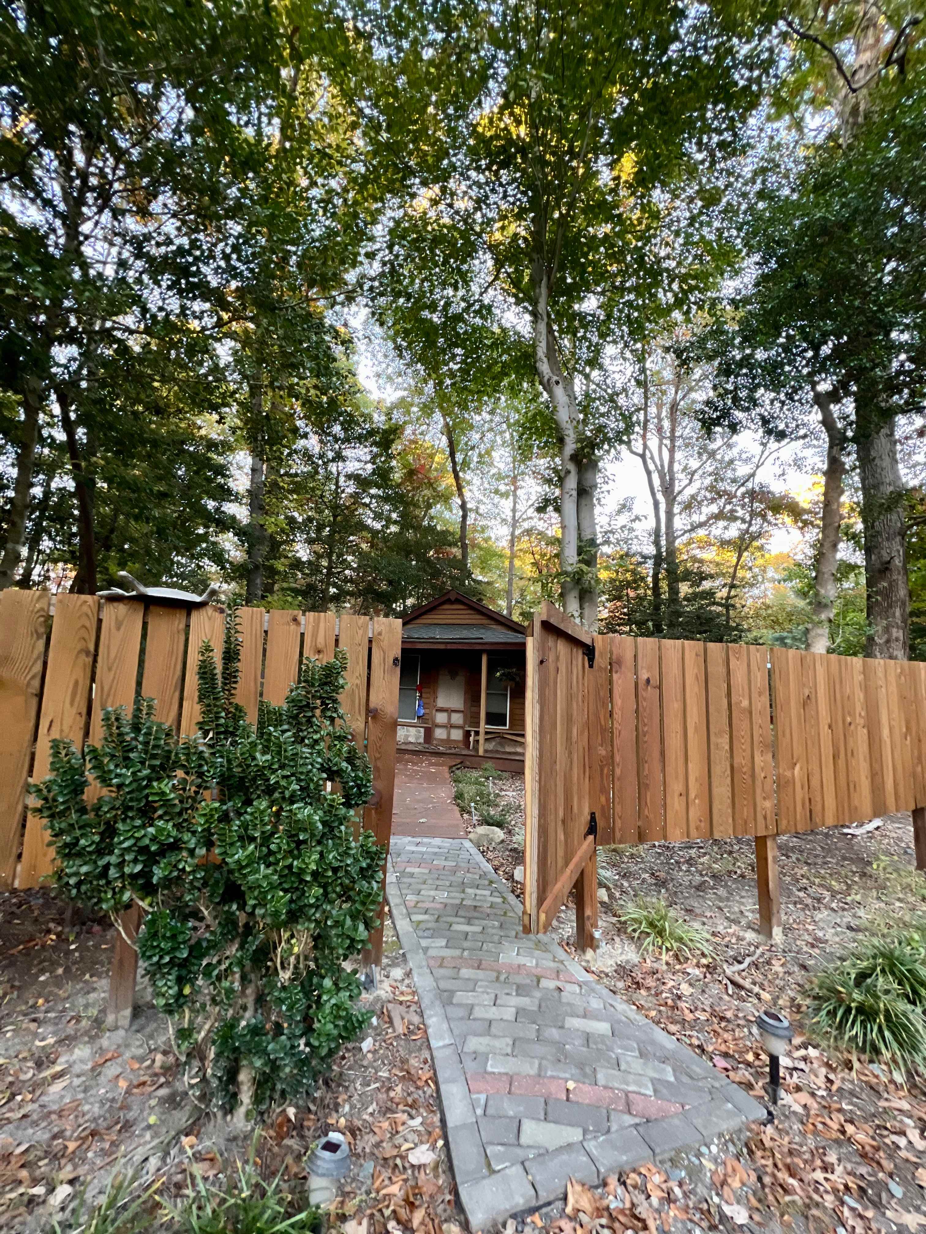 Picture of the site