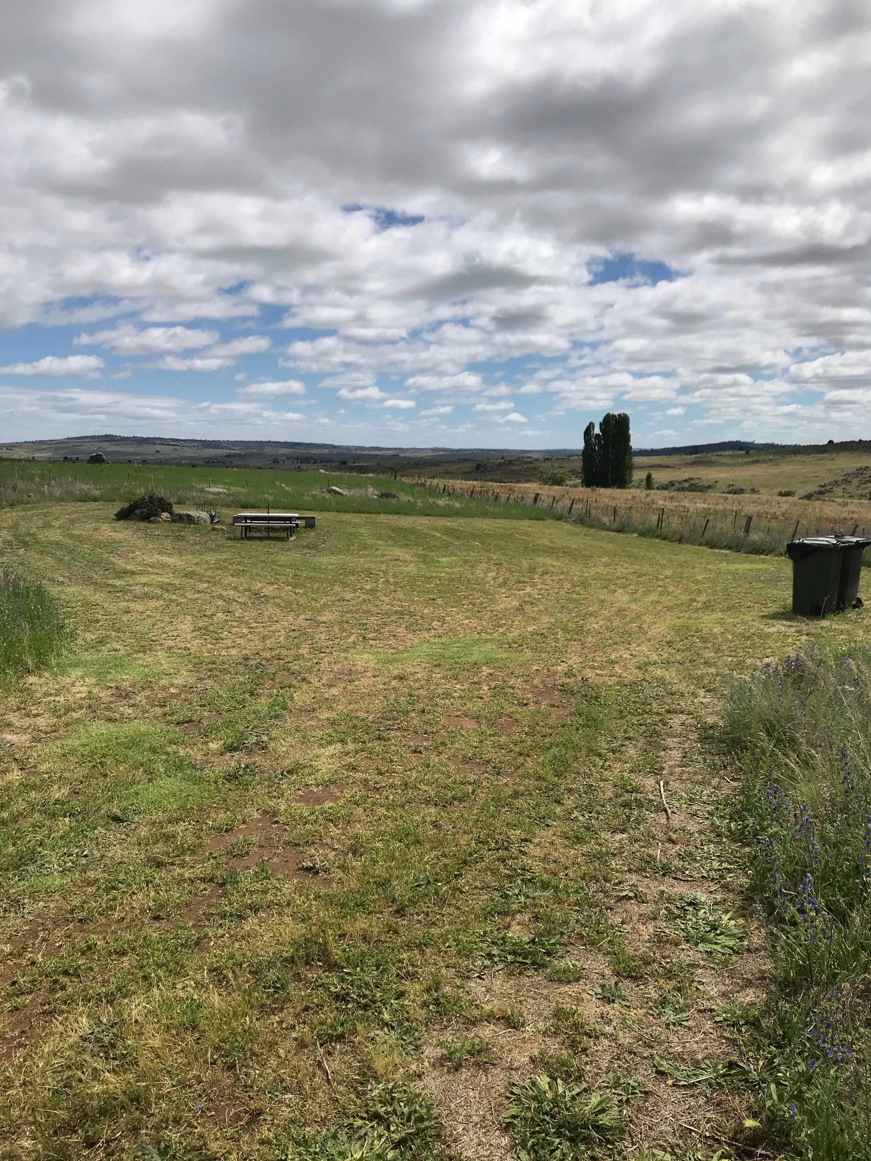The site looking north