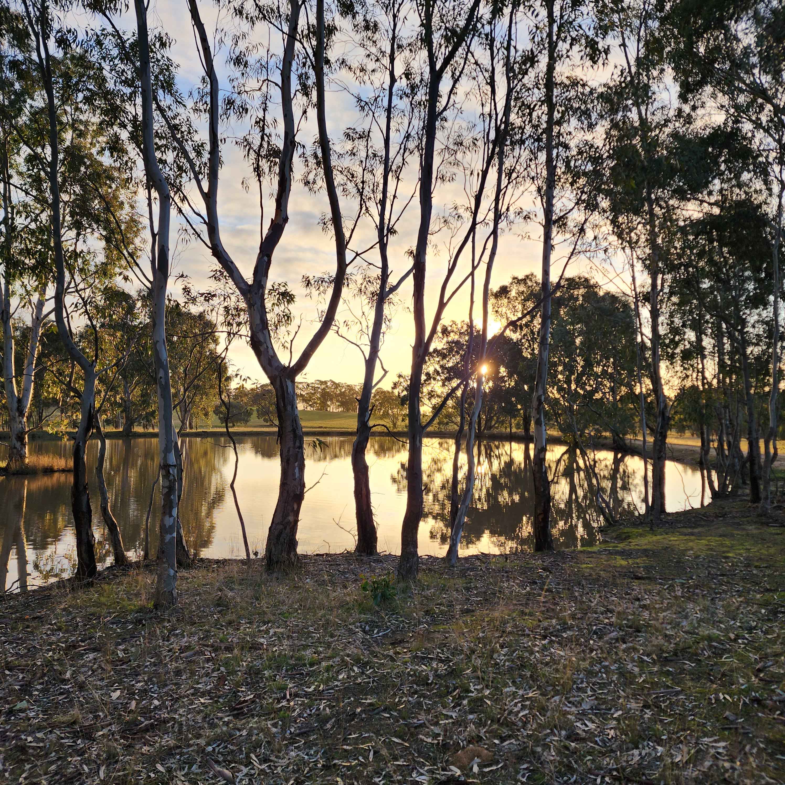 The Greyt Sanctuary