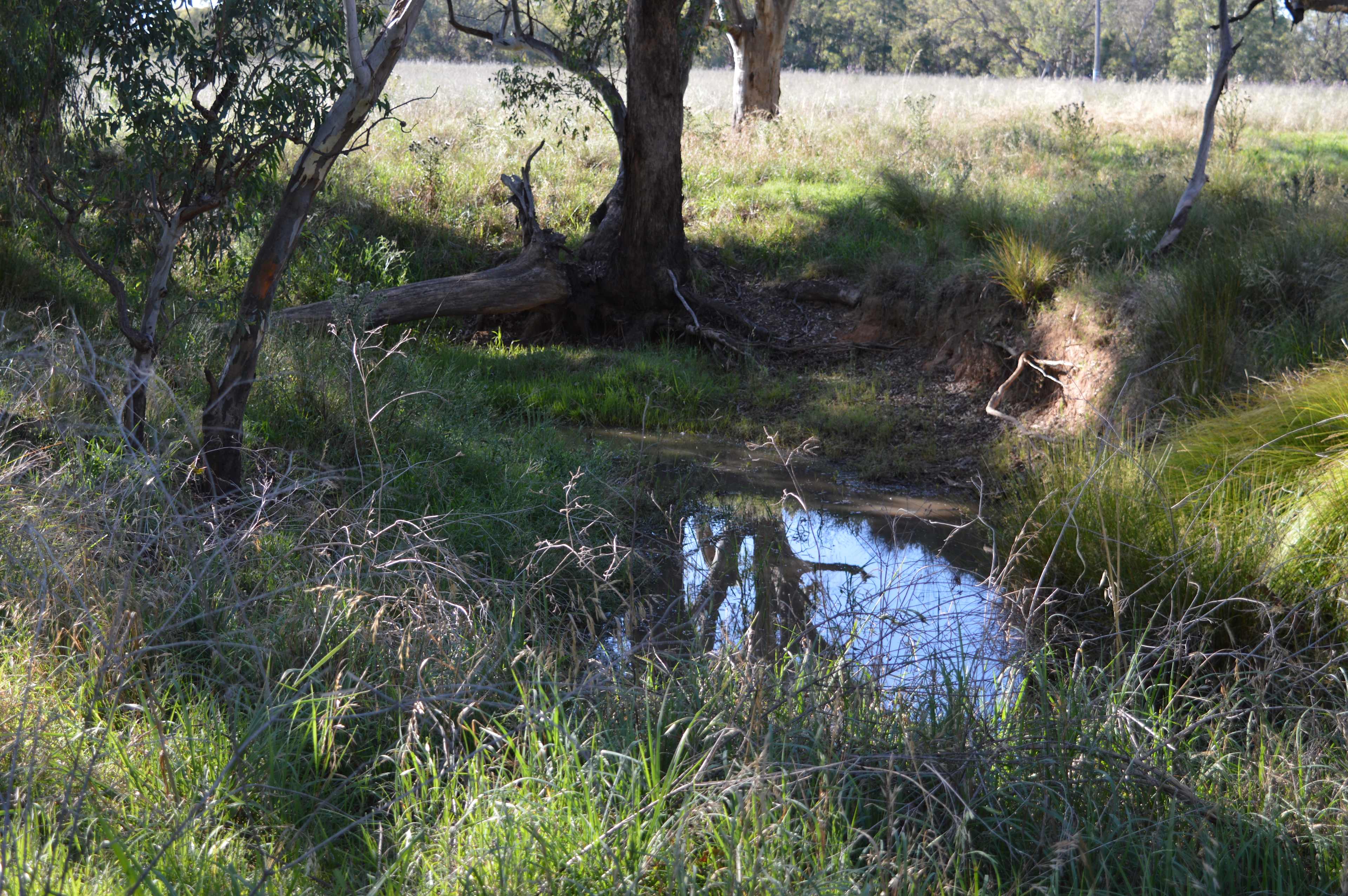 Wendouree Creek Camp
